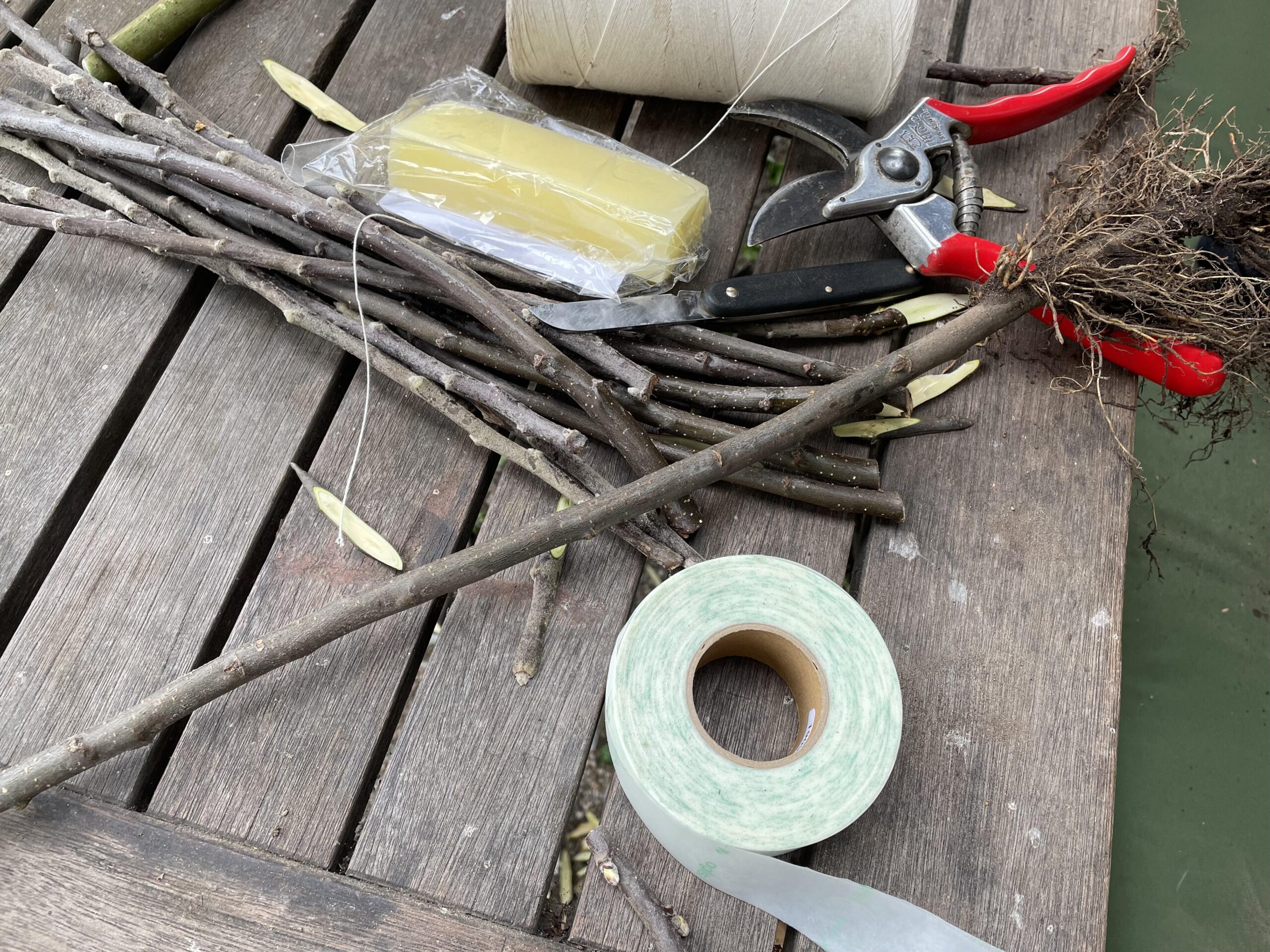 Instructie fruitboom enten