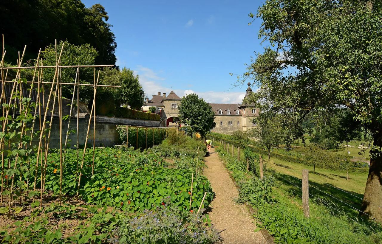 Instructiedag onderhoud historische kloostertuin Zusters Karmelietessen (Sittard)