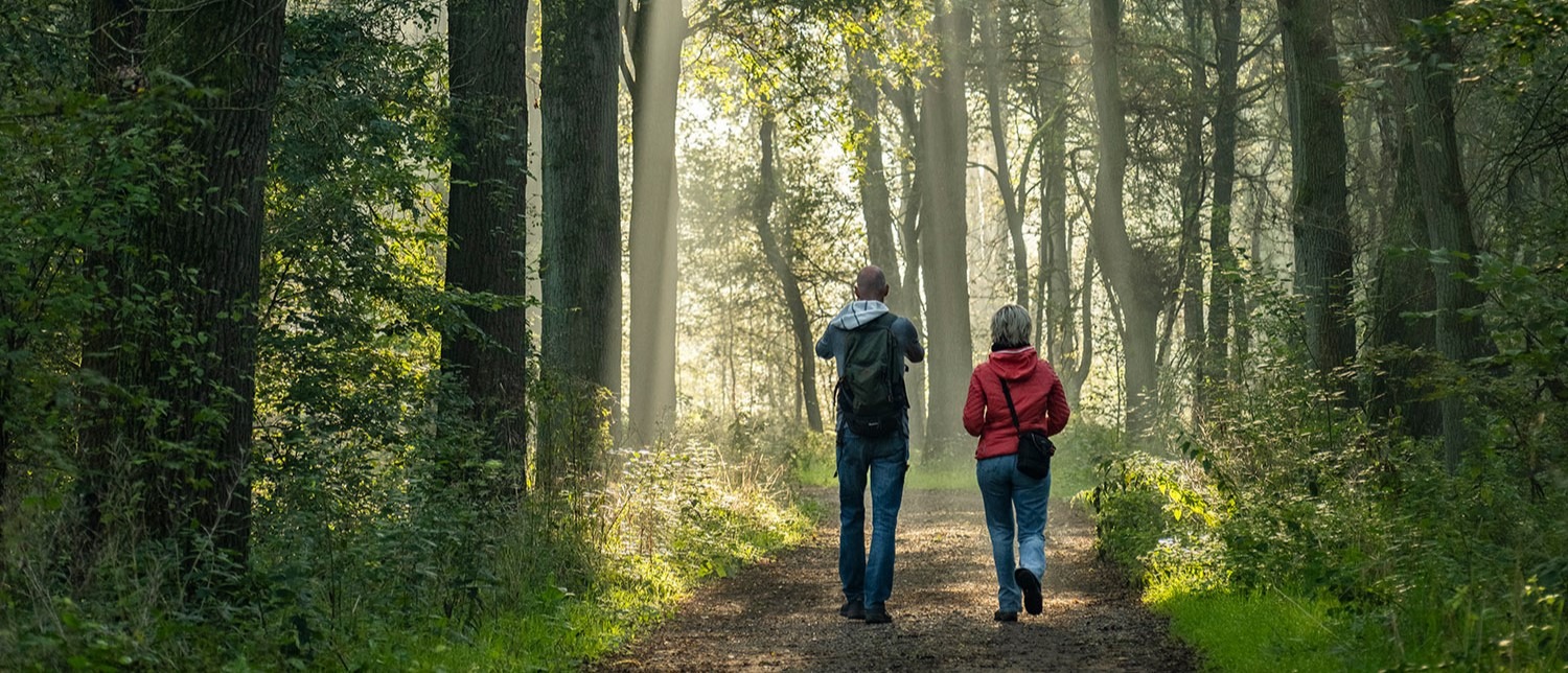 Vijf herfstwandelroutes door het Limburgse landschap