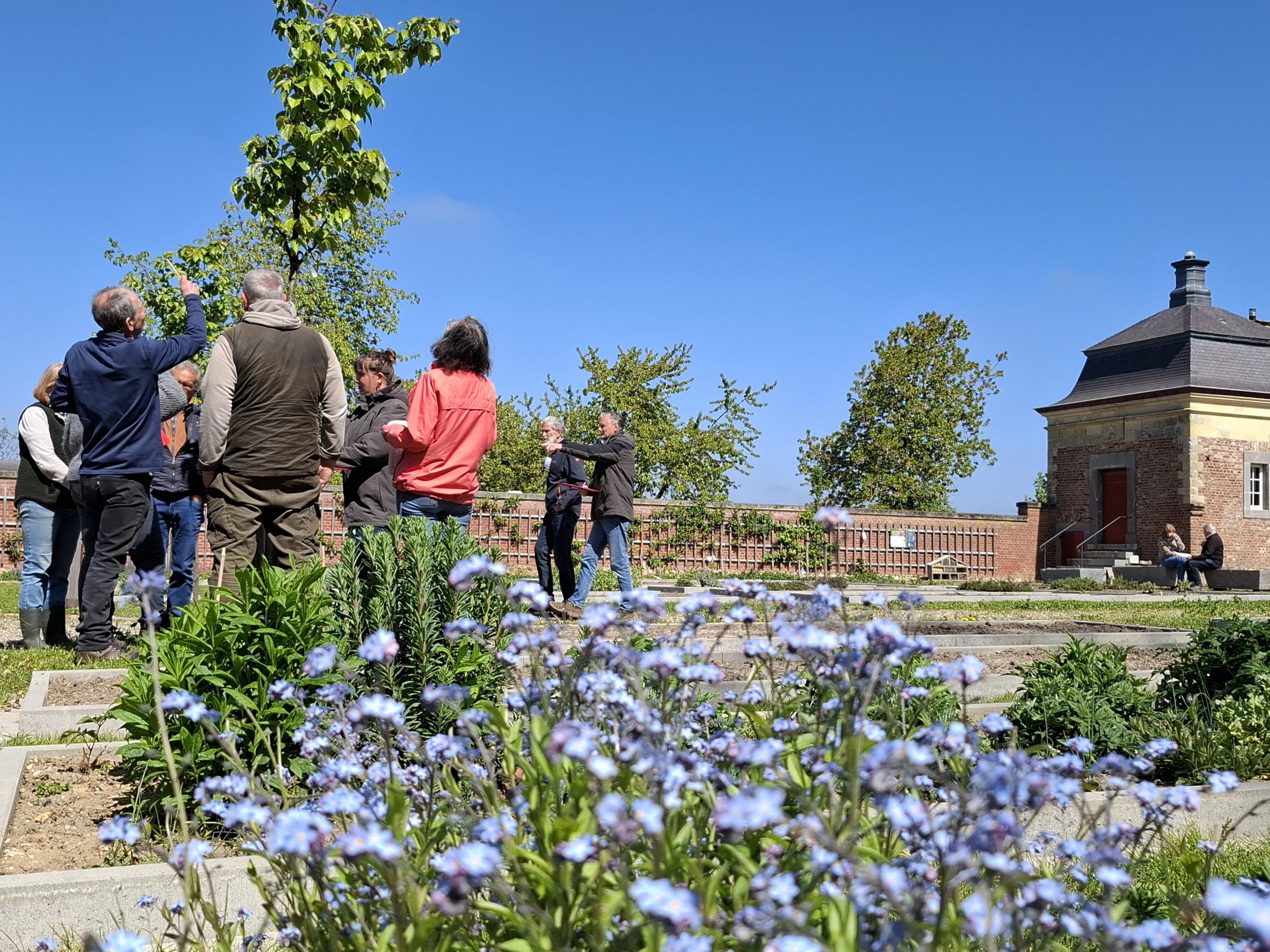 Instructiedag onderhoud historische kloostertuin Zusters Karmelietessen (Sittard)