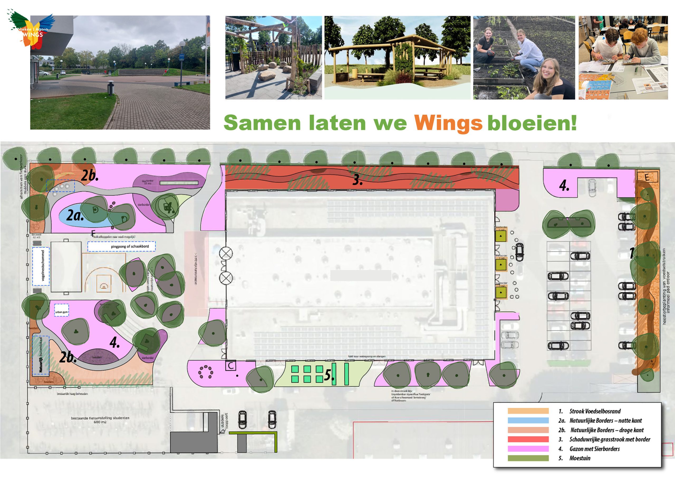 Winnaar Limburg Mooier Groen 2026 verbindt jongeren aan het landschap
