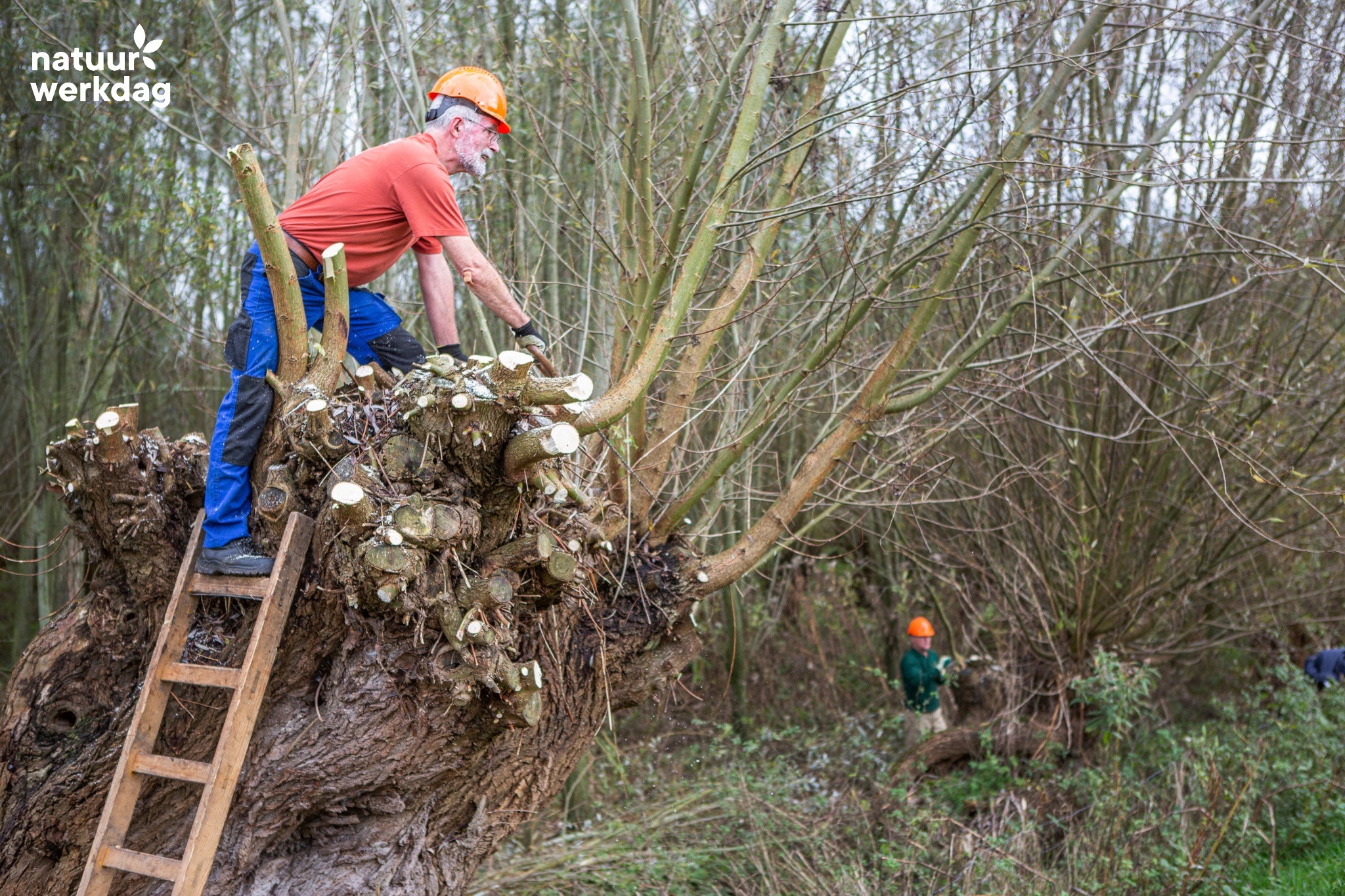 Doe je ook mee met de Natuurwerkdag?