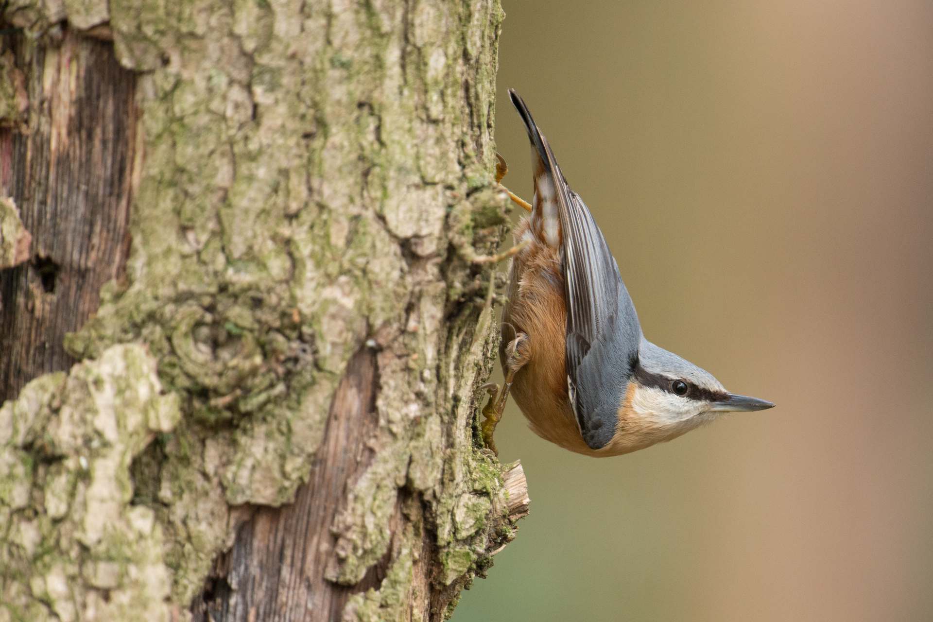 Kinderactiviteit Groote Heide: lente in zicht