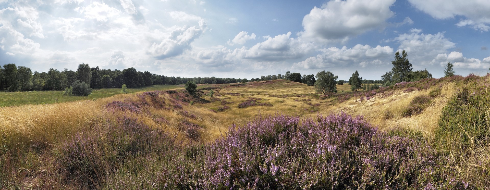 Ontdek de geschiedenis van De Maasduinen