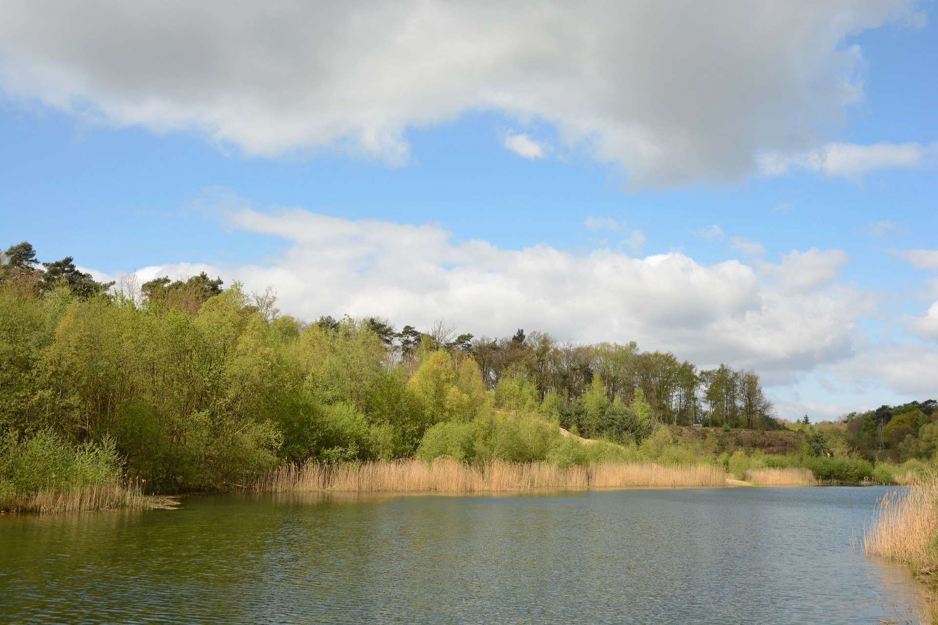 Ontdek het Venlose Jammerdal