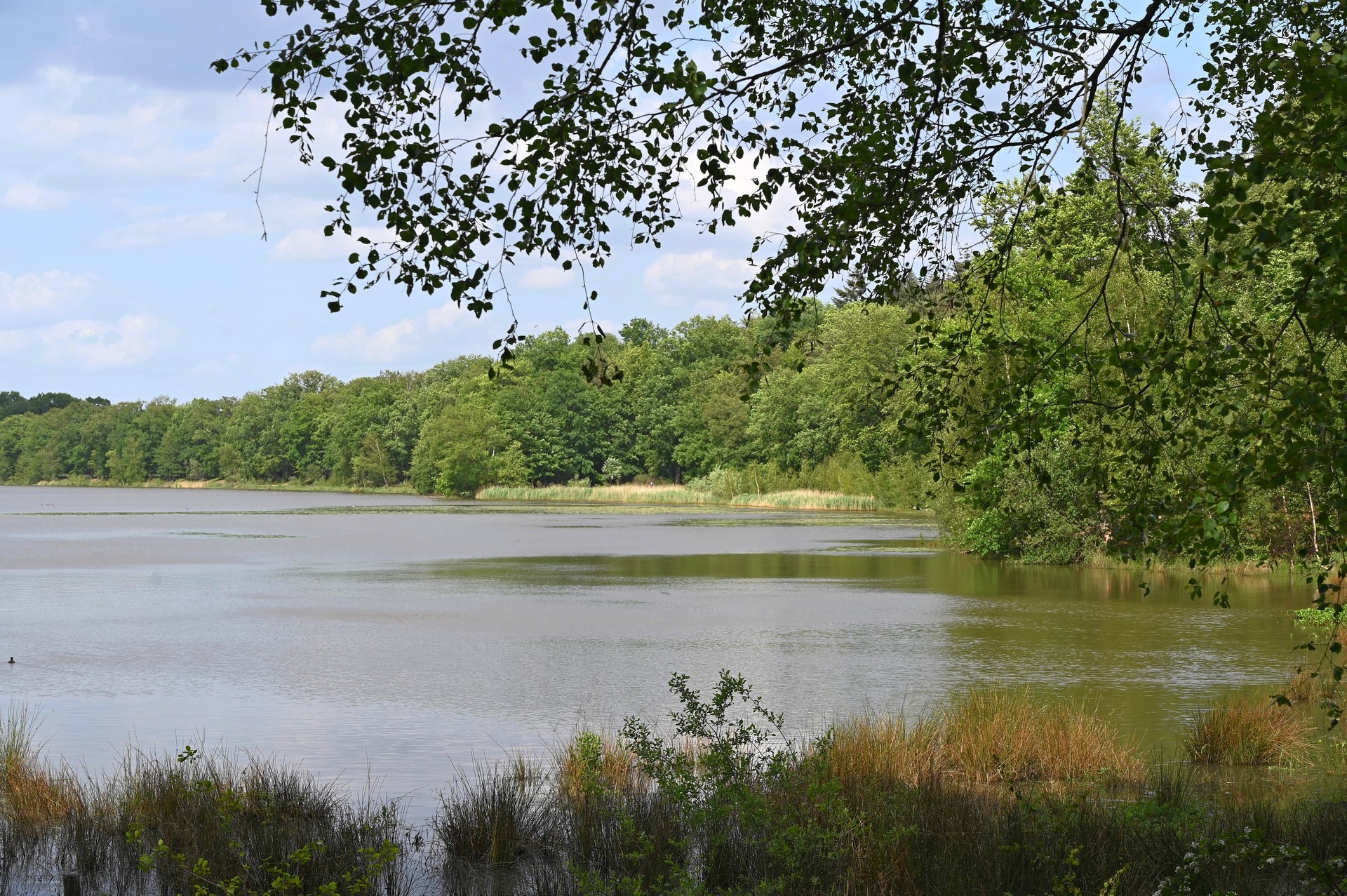 Wandeling Zwart Water en Venkoelen