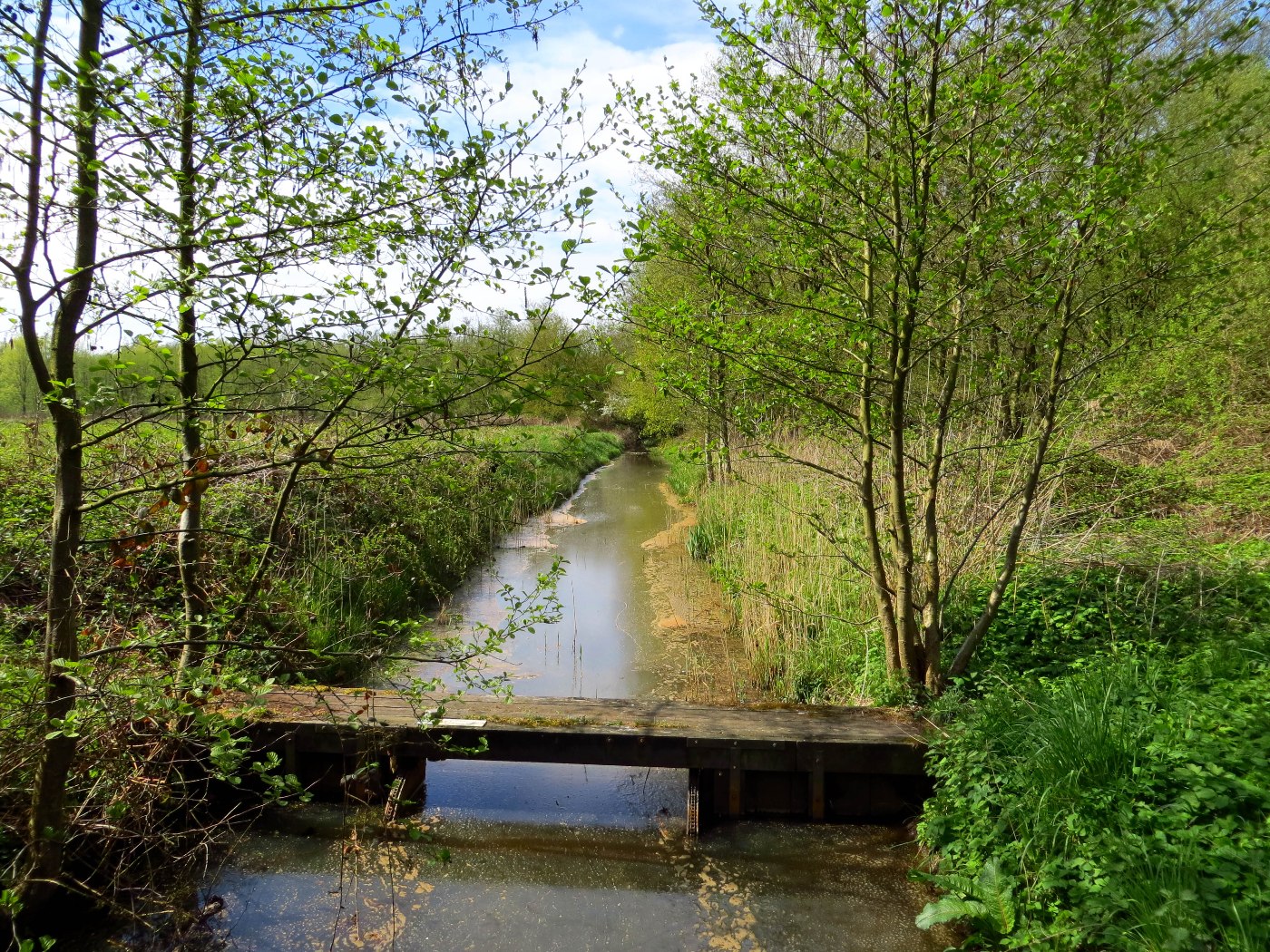 Ontdek de dassen en bevers in het Dubbroek in Baarlo