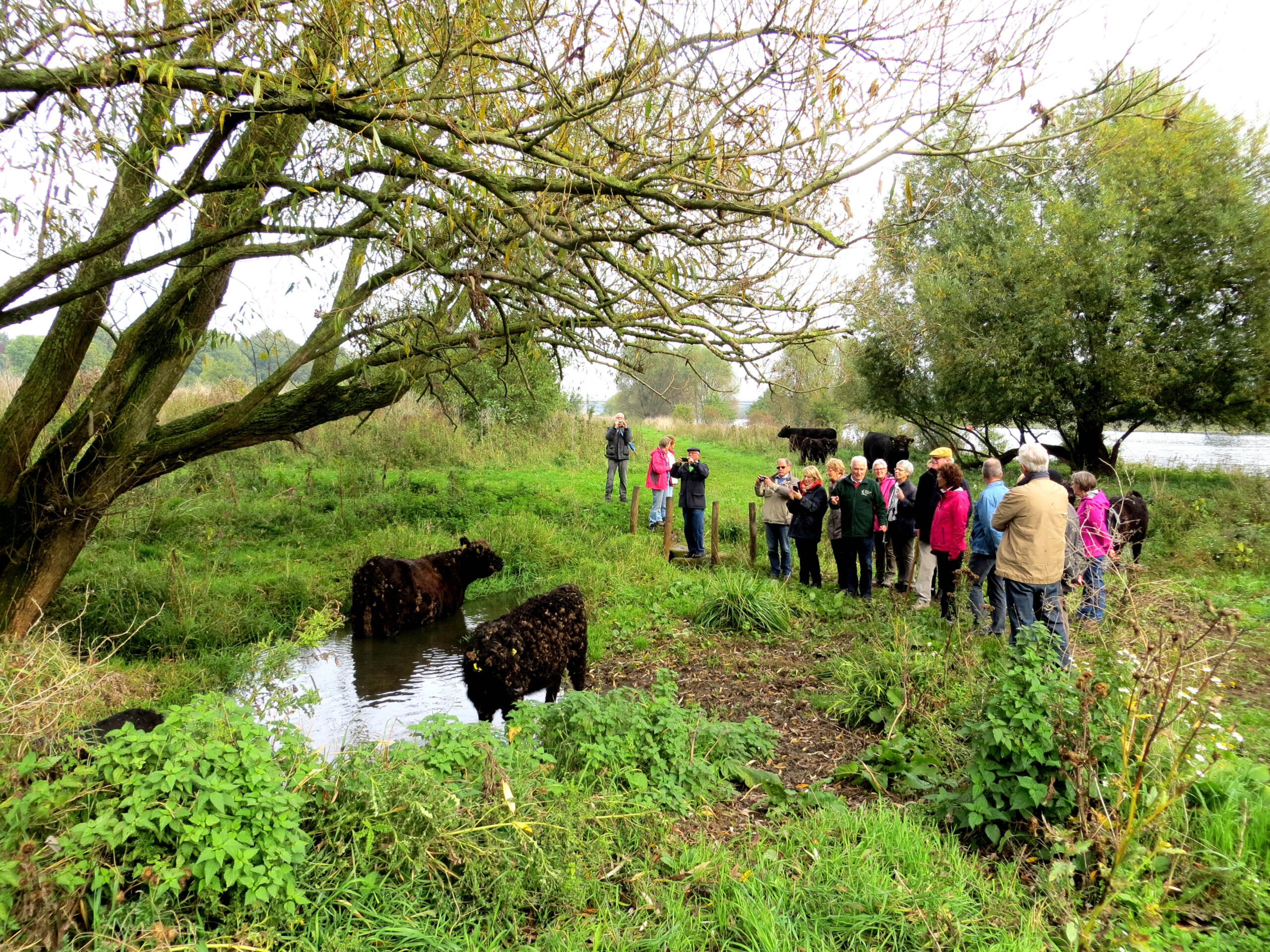 Ontdek de natuur langs de maas bij Blerick