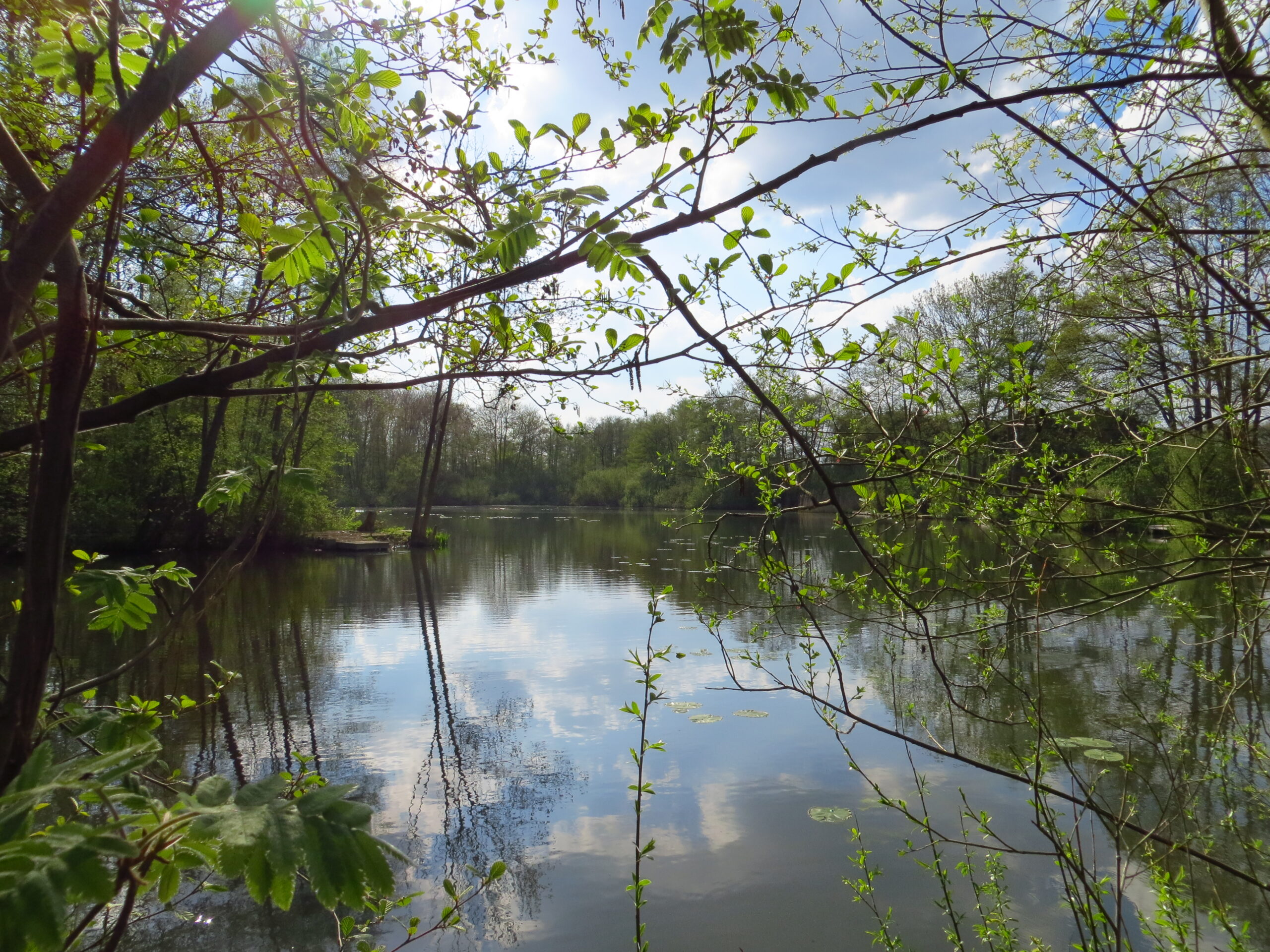 Ontdek de Tangkoel in Hout Blerick