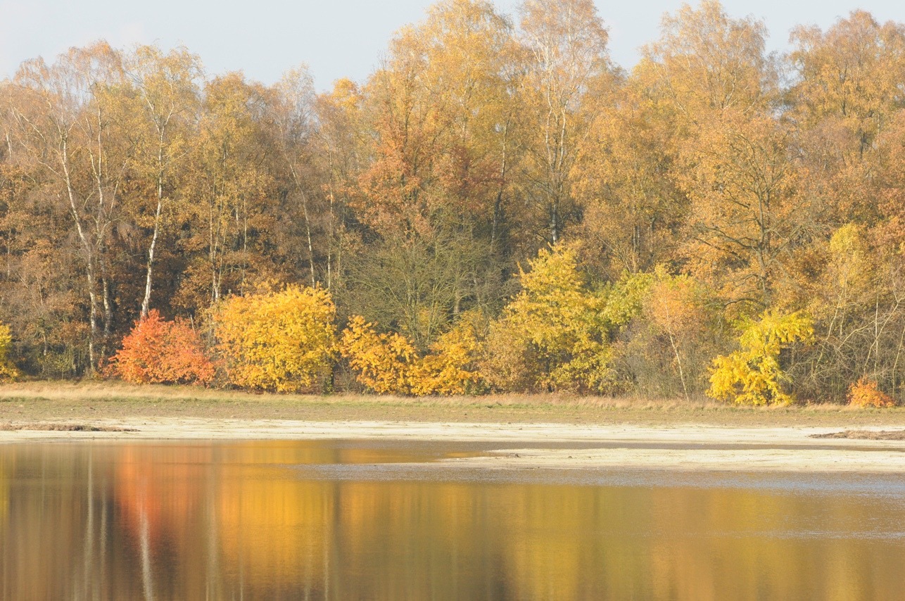 GEANNULEERD Einde van de herfst