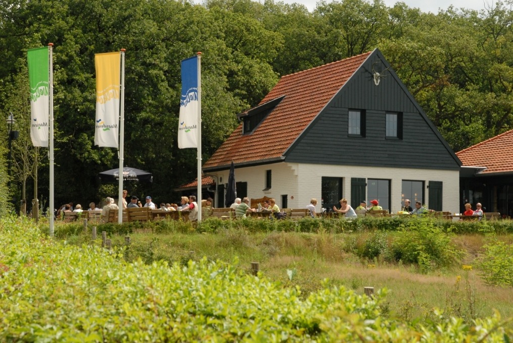 NP Maasduinen; wandelen, speelbos Boskoel, uitkijktoren, restaurant en mooiste plekken - Reisliefde