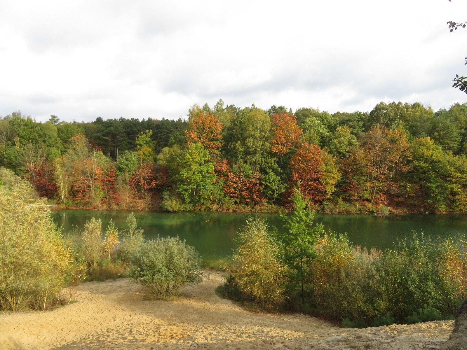 Herfst in het Jammerdal