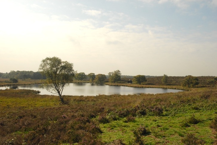 Lekker wandelen over De Hamert