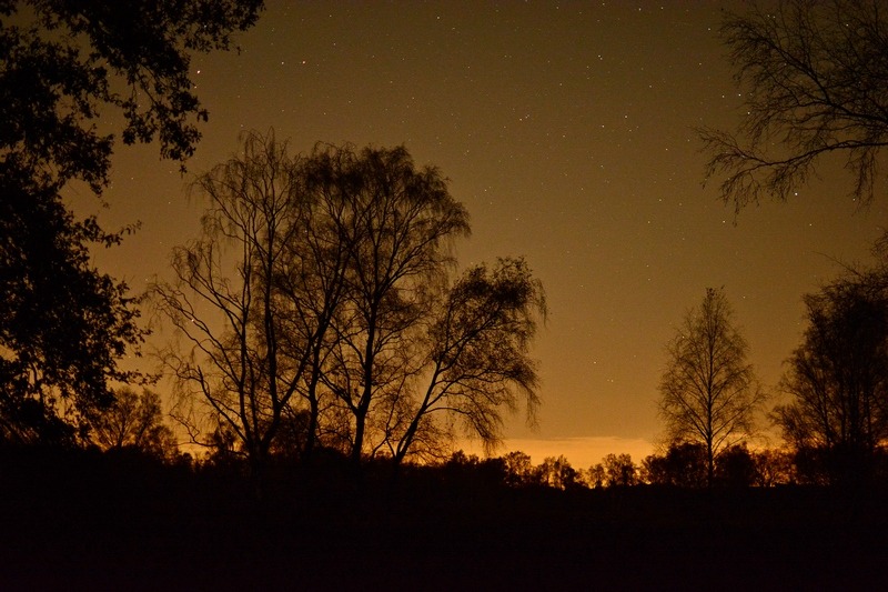 Nacht van de Nacht in het Jammerdal