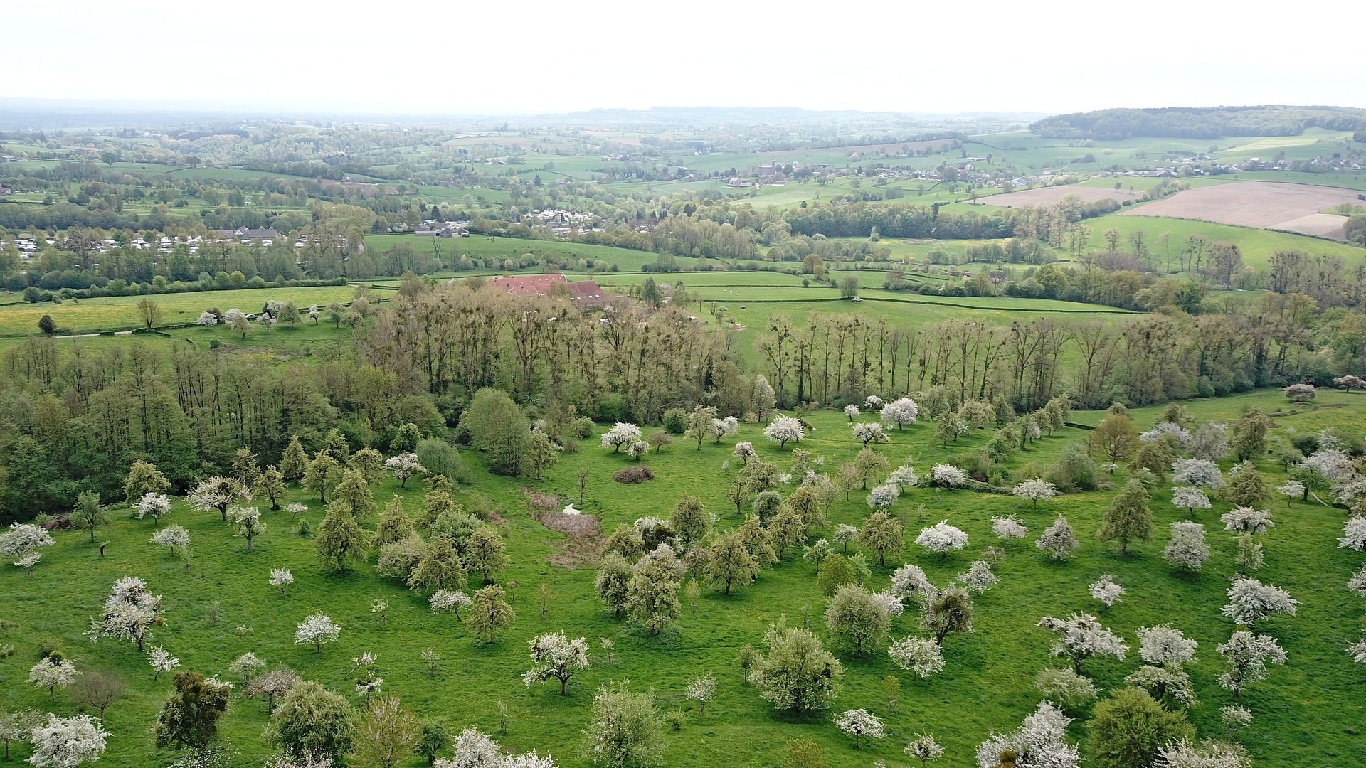 Nieuwjaarswandeling Cottessen