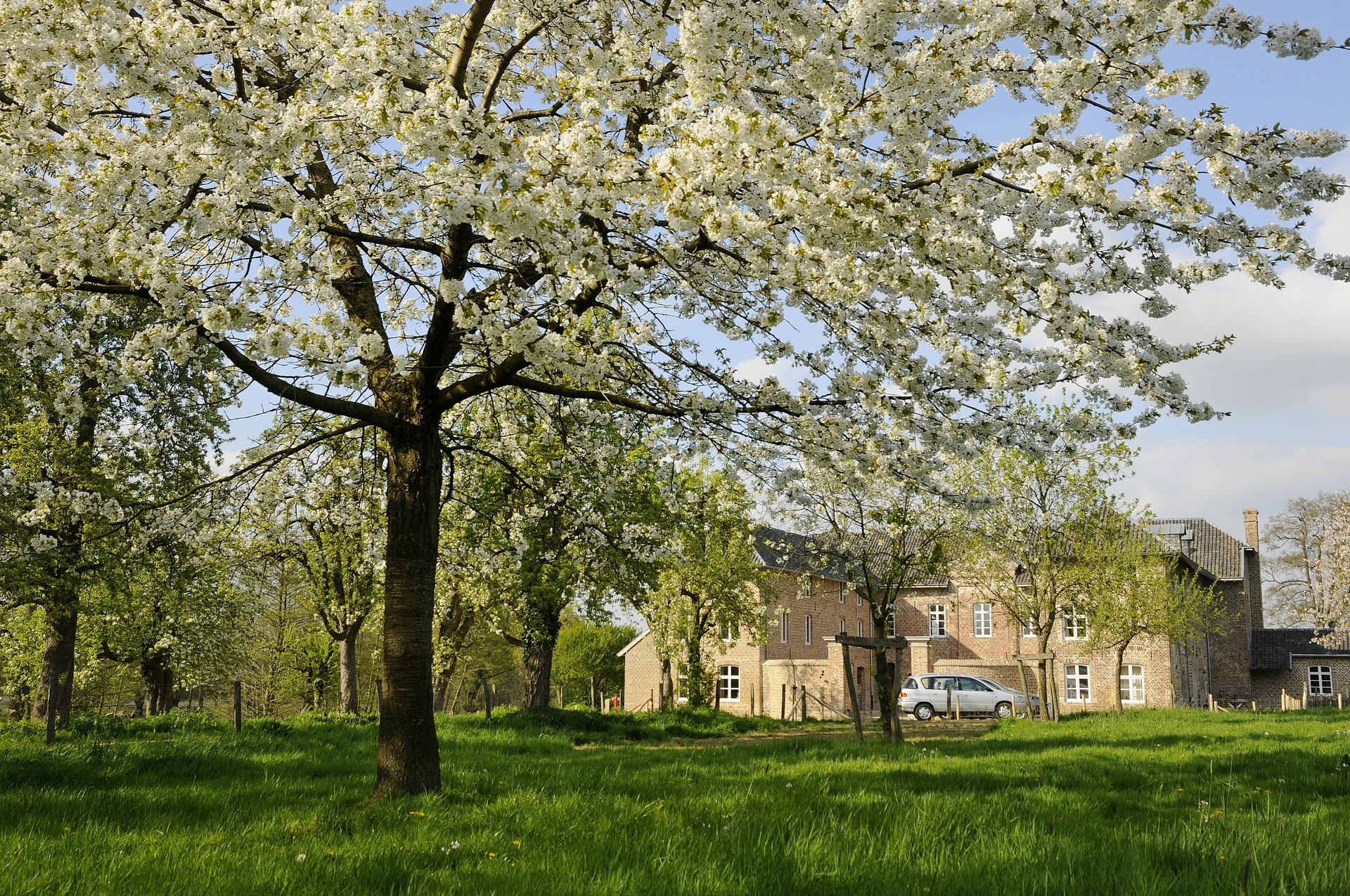 Erfgoedweekend bij de Frankenhofmolen