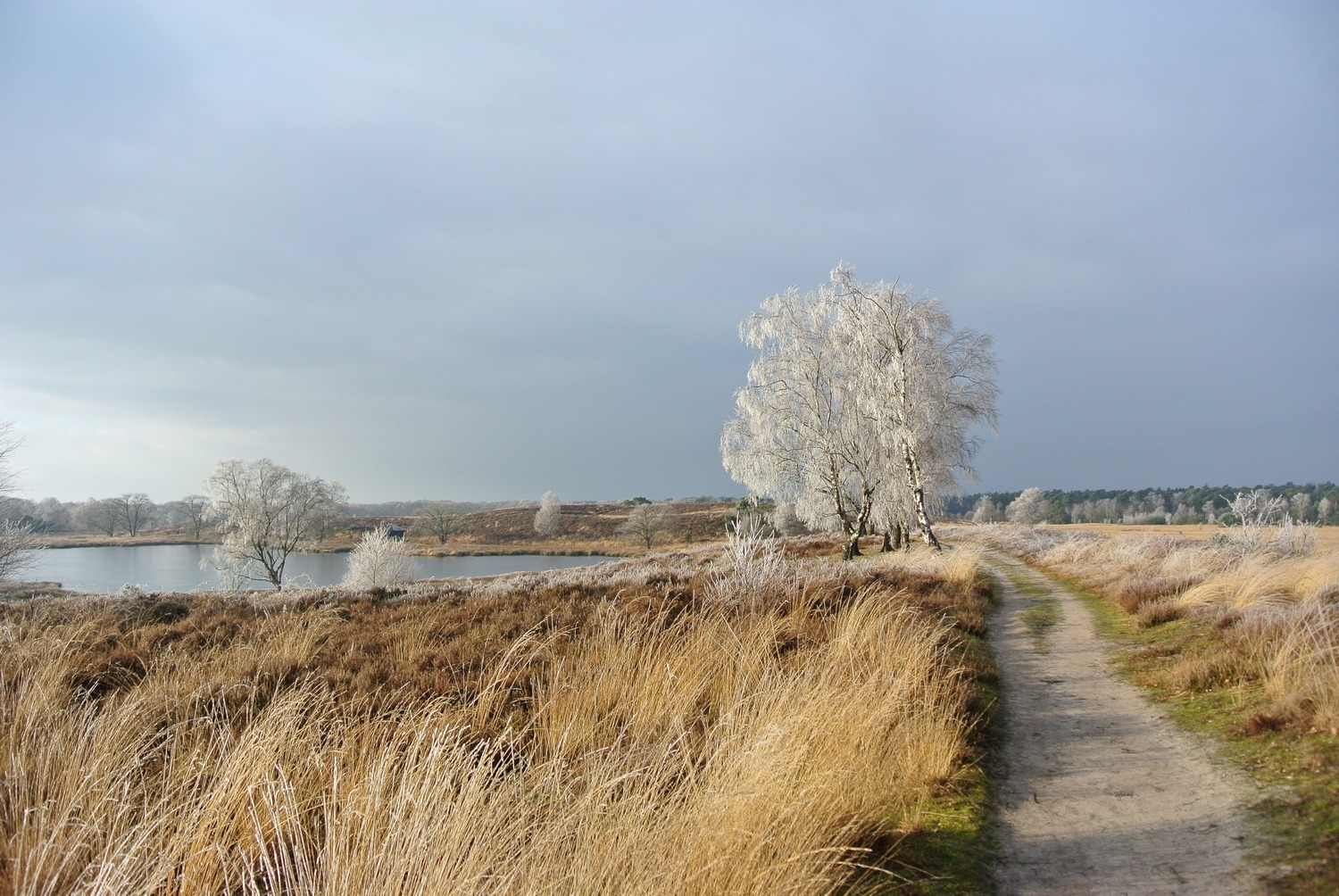 Winter in aantocht