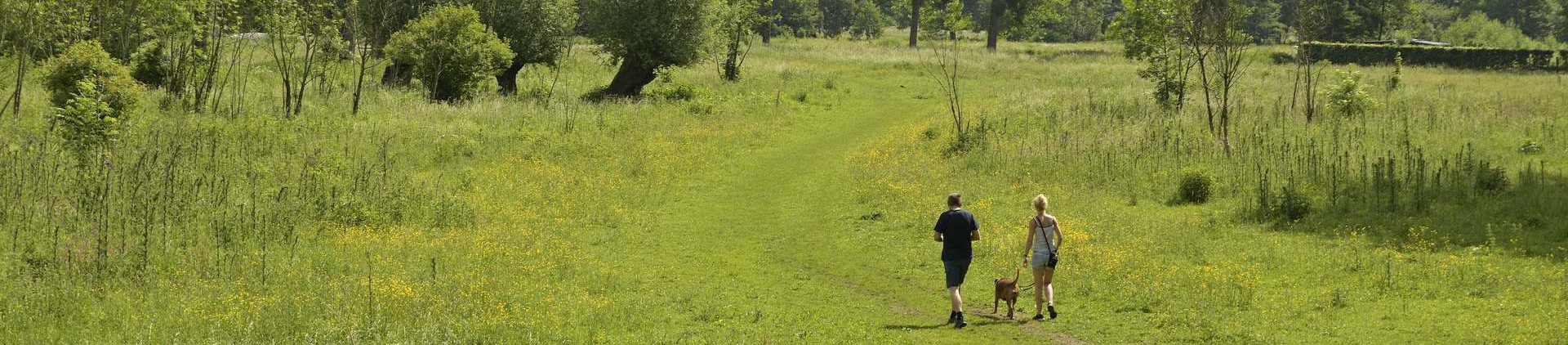 Beleef de Bergse Heide en Ingendael (Geulhem)