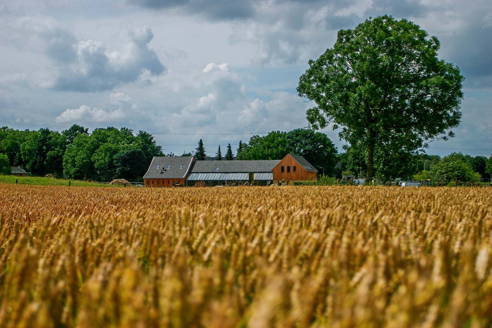 Een schat aan natuur veiliggesteld