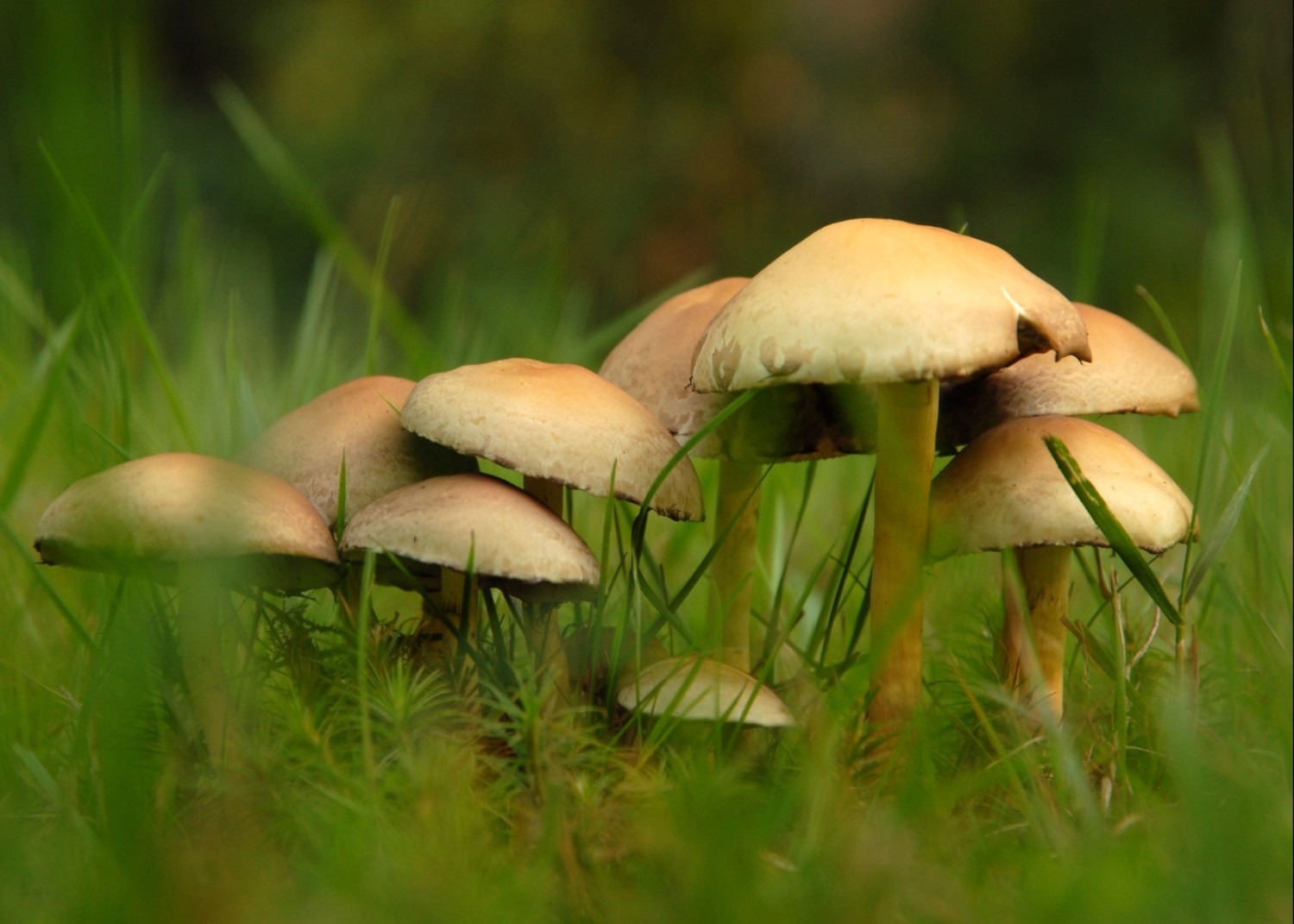 Groep 1: Herfst op de Groote Heide