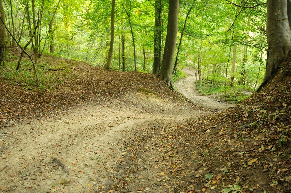 Nazomer in De Dellen en Meerssenerbroek