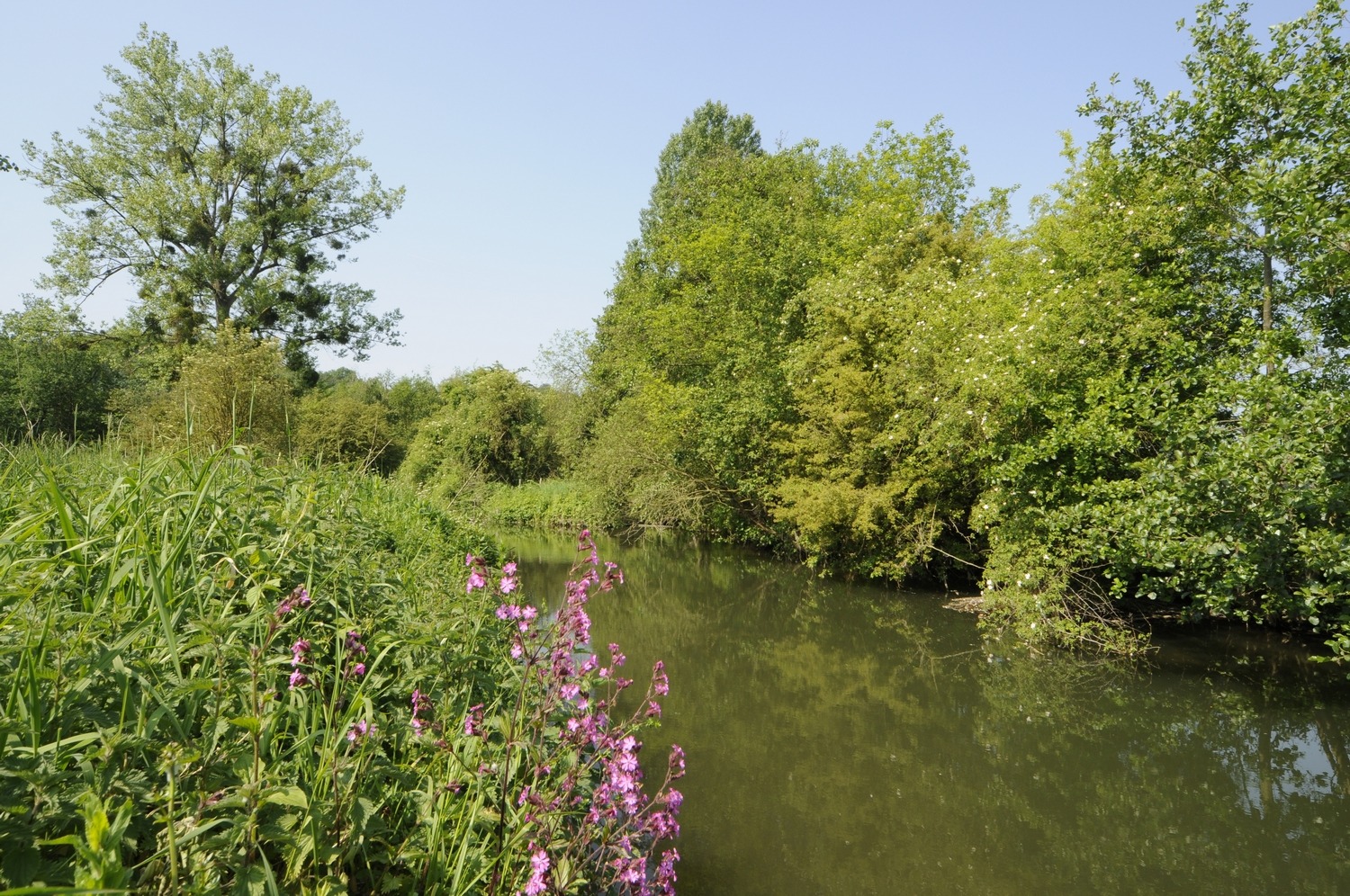 Nazomer in De Dellen en Meerssenerbroek