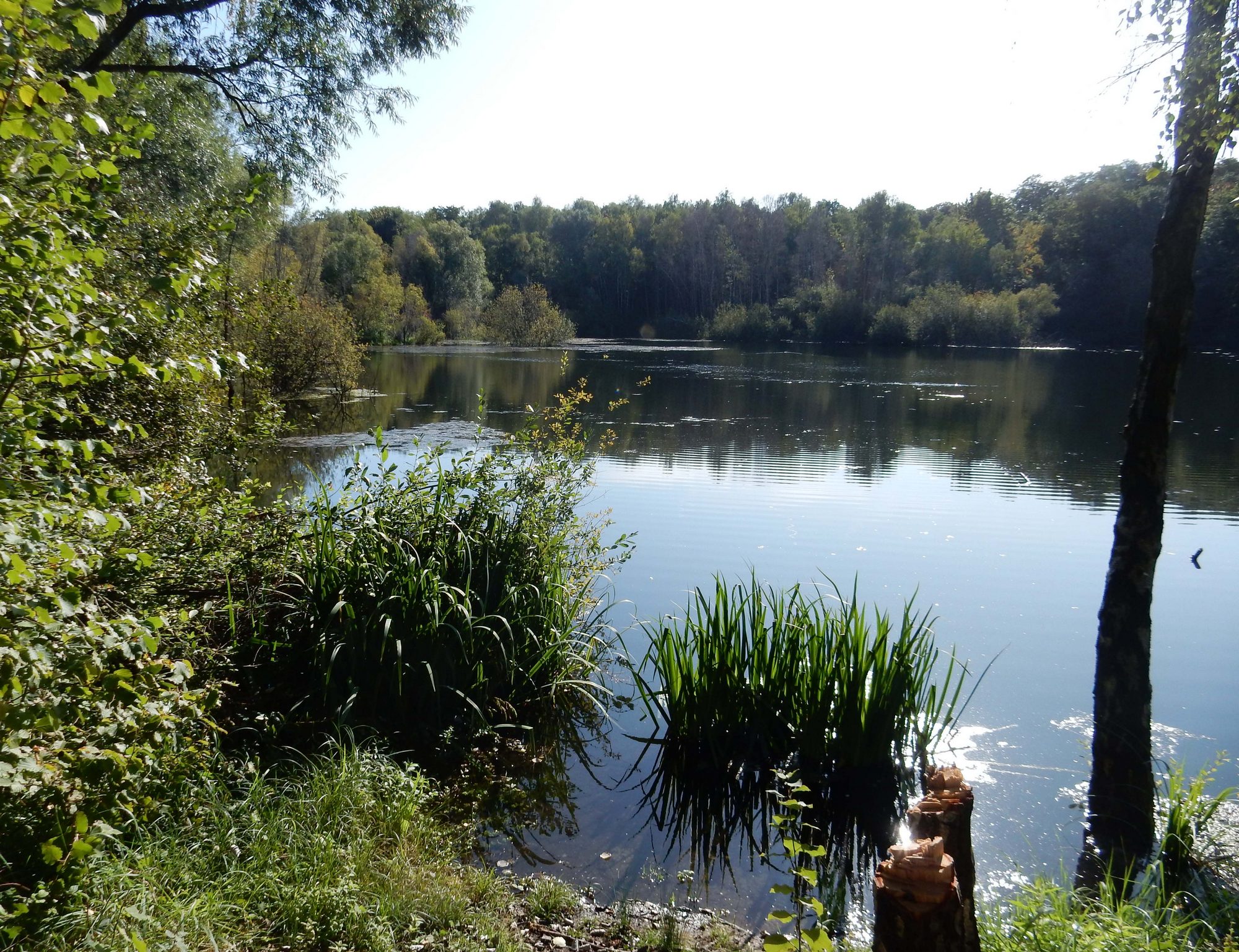 GEANNULEERD Door de natuur gevormd