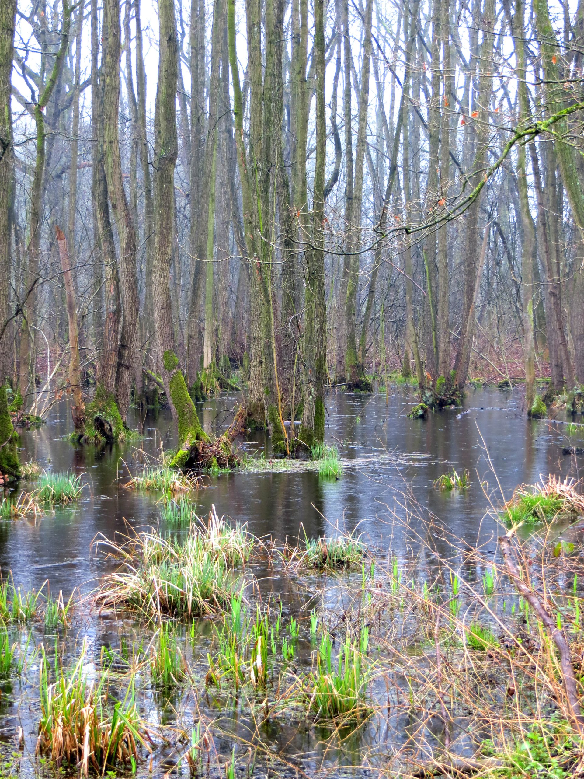 Excursie Dubbroek