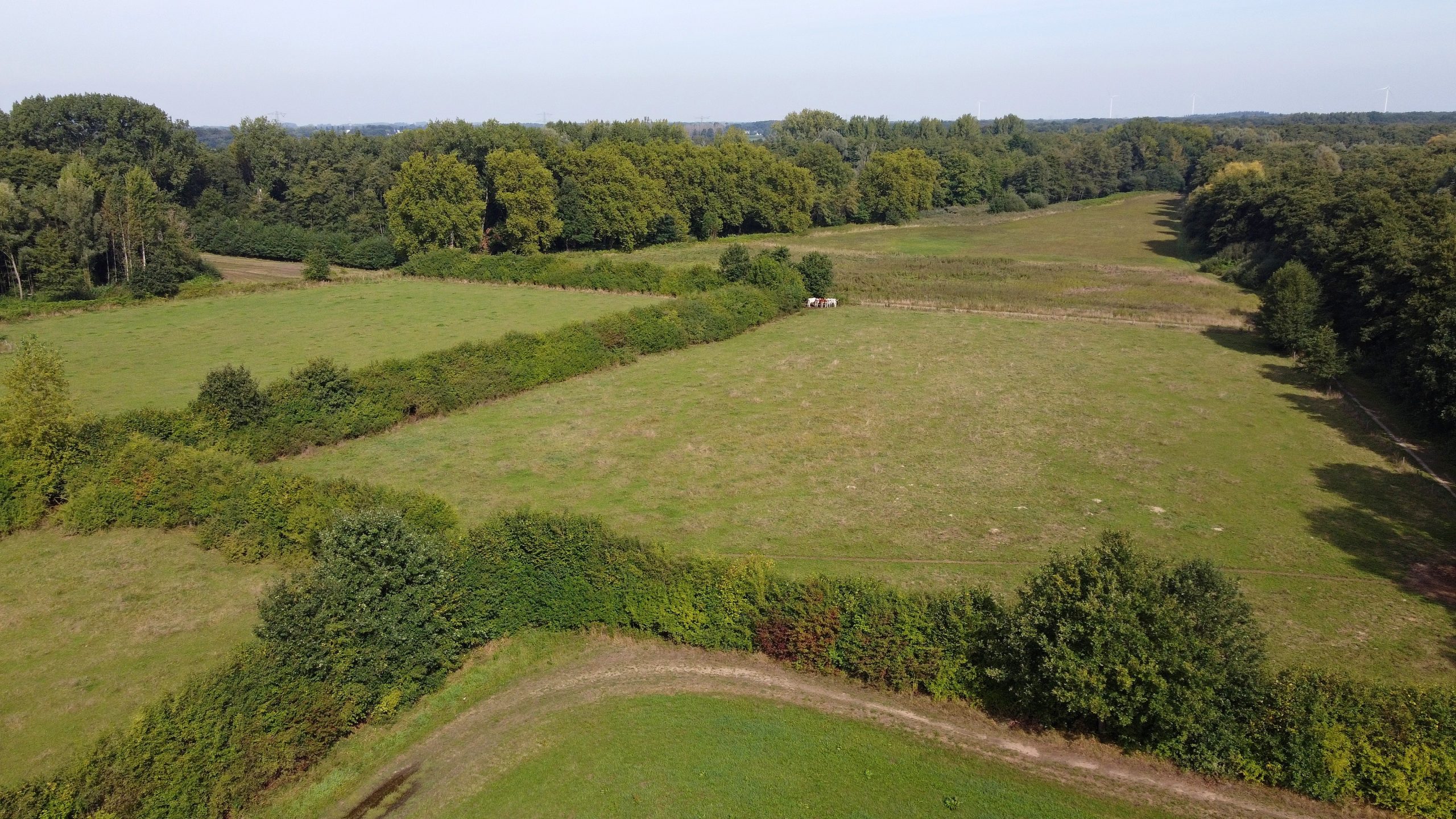 Ontdek natuurparel het Dubbroek in Baarlo