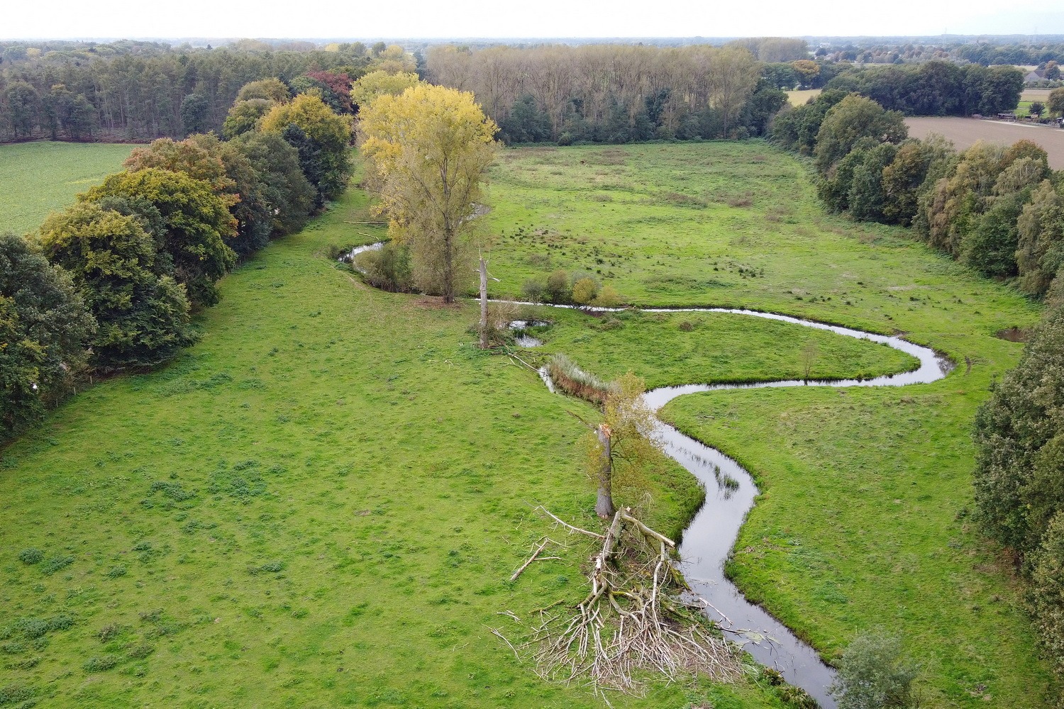 Excursie Landgoed Exaten en Haelens Beekdal