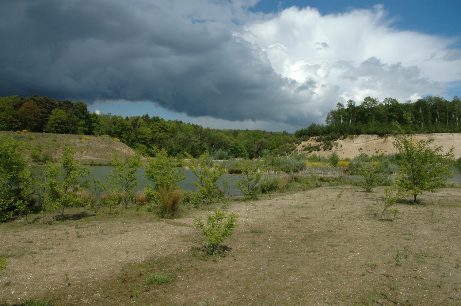 Door de natuur gevormd (Jammerdal/Egypte)