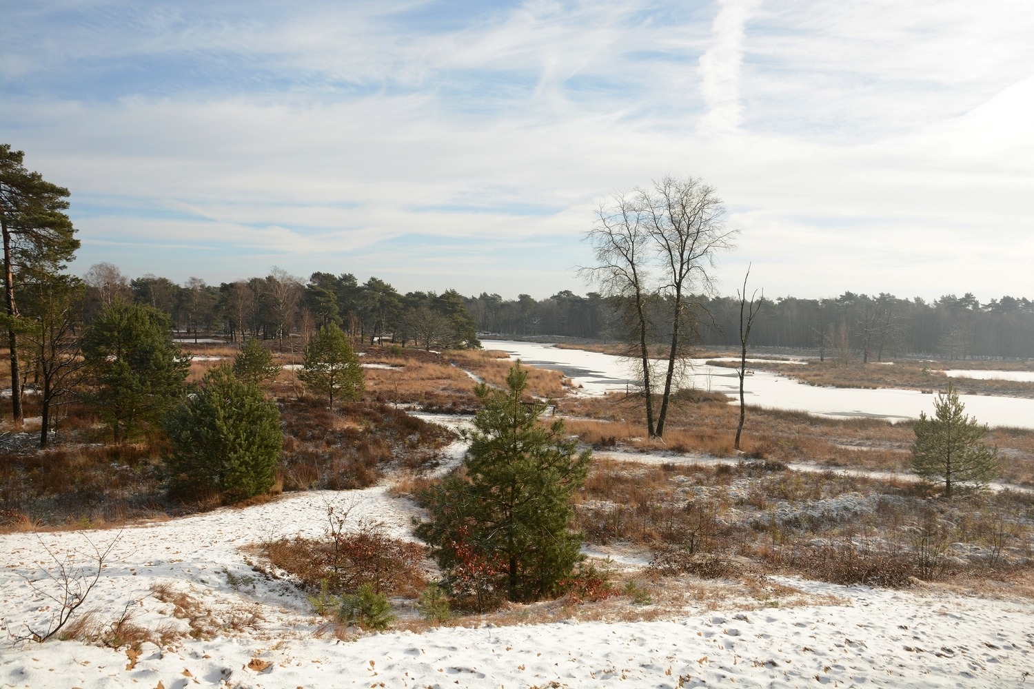 Over-winteren in de Ravenvennen