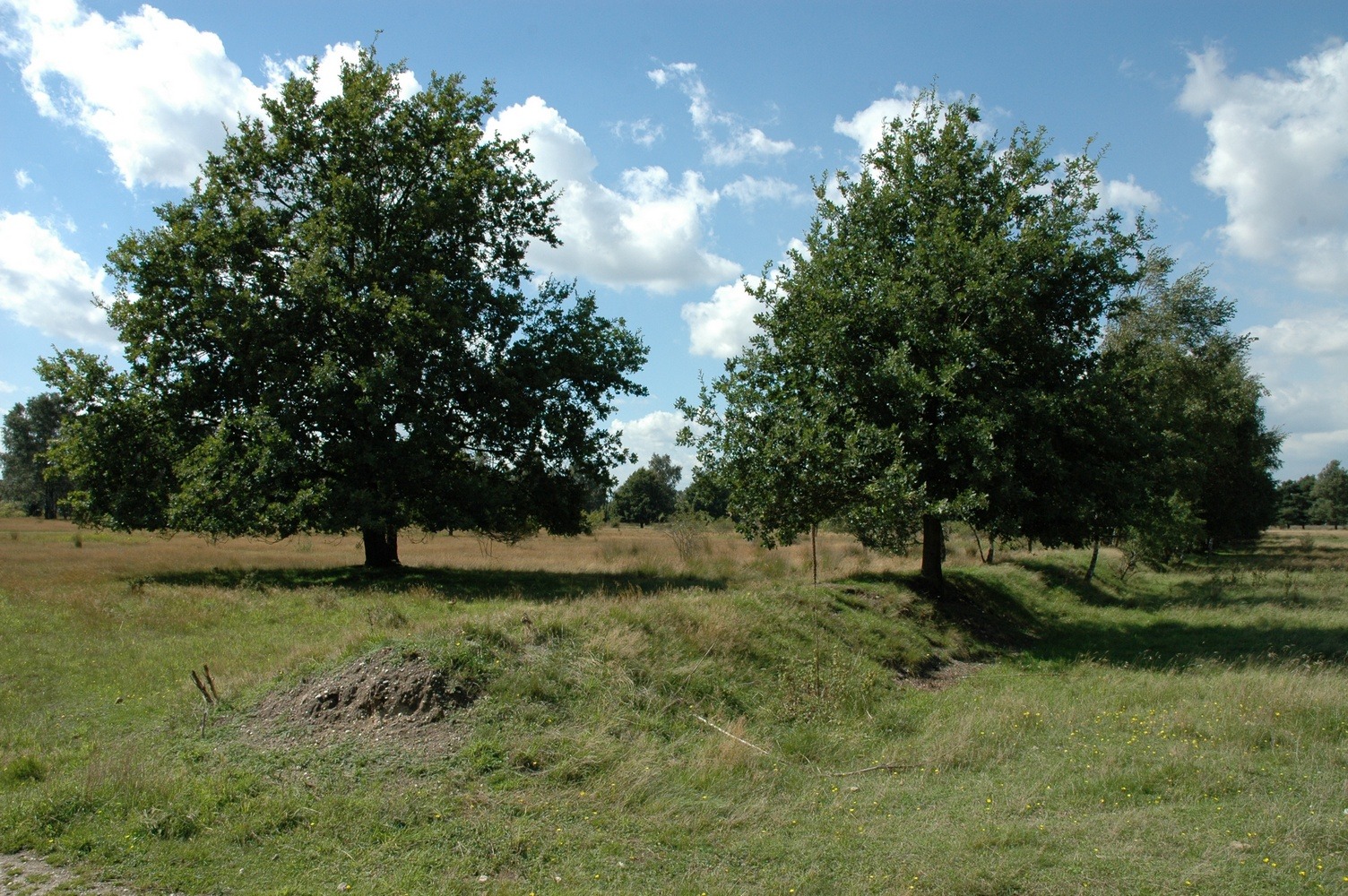 Duik in het oorlogsverleden van de Groote Heide