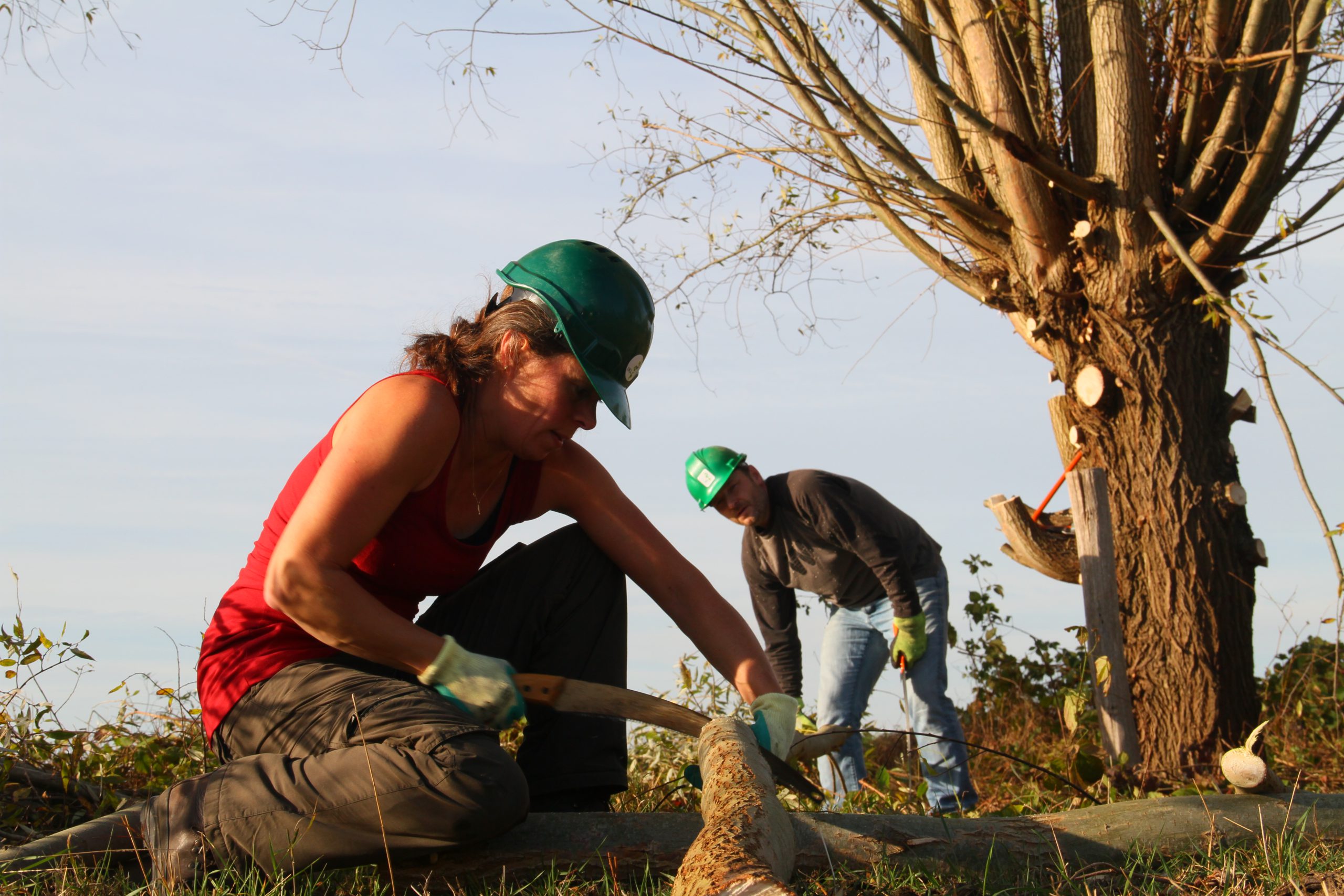 Het Limburgs Landschap zoekt enthousiaste medewerker vrijwillig landschapsbeheer voor het Steunpunt Landschapsbeheer (1fte)