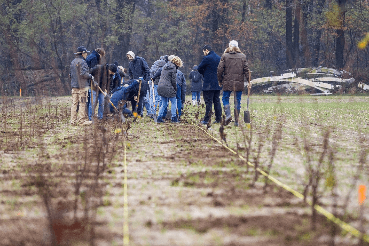 Het Limburgs Landschap en Canon werken samen aan verbindingsbos