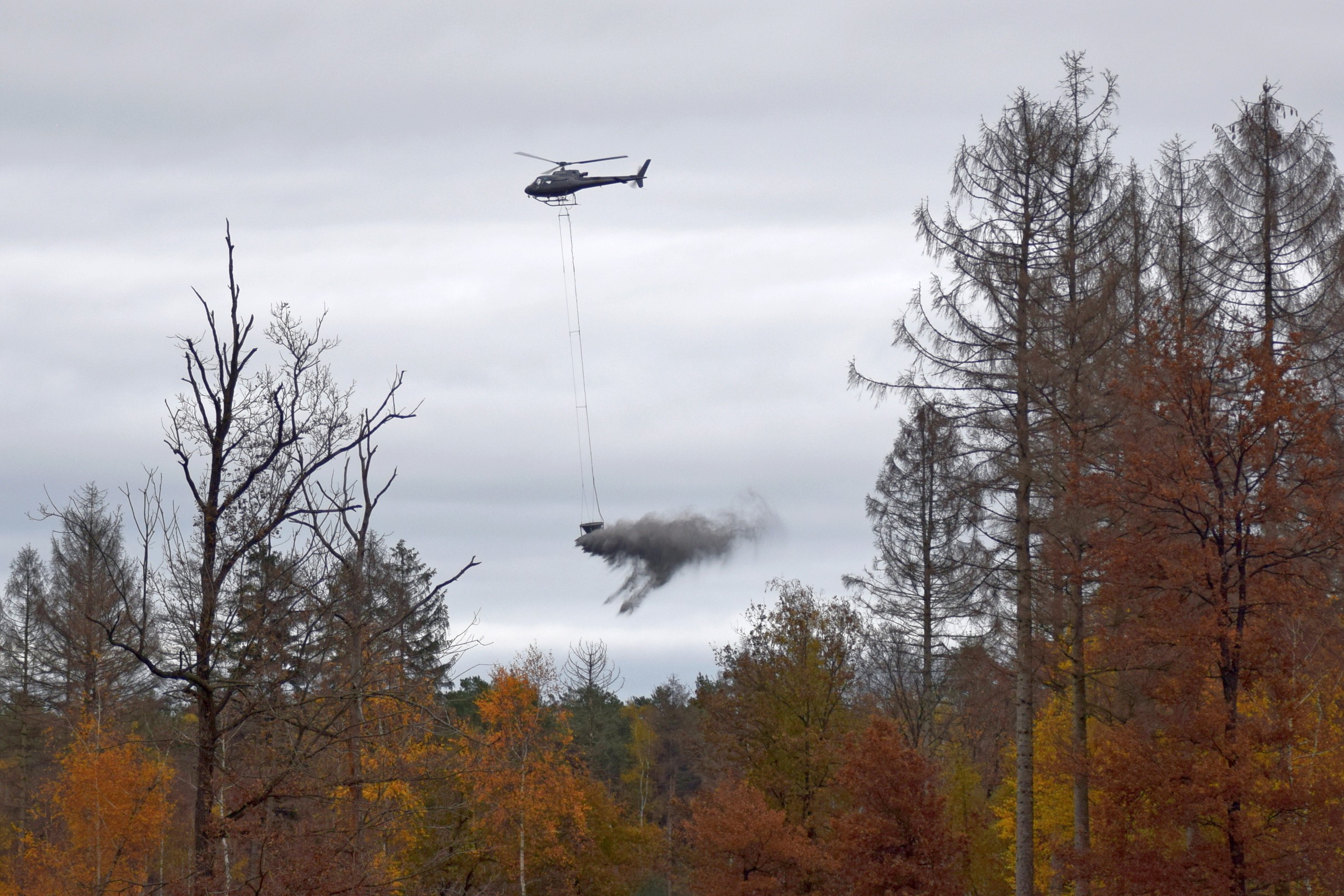 Het Limburgs Landschap strooit met een helikopter steenmeel uit boven Landgoed de Hamert