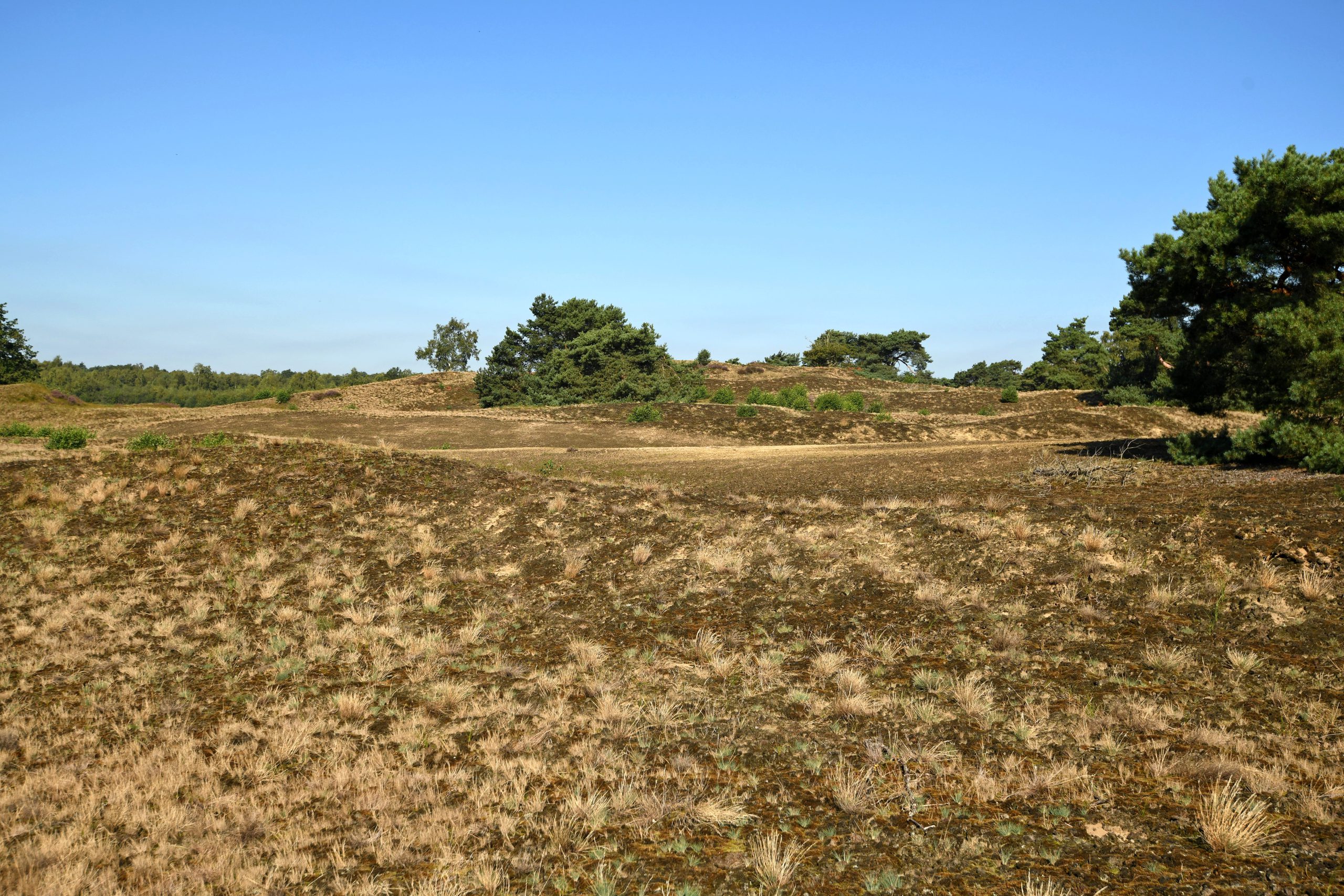 Genieten van de lente aan het Reindersmeer