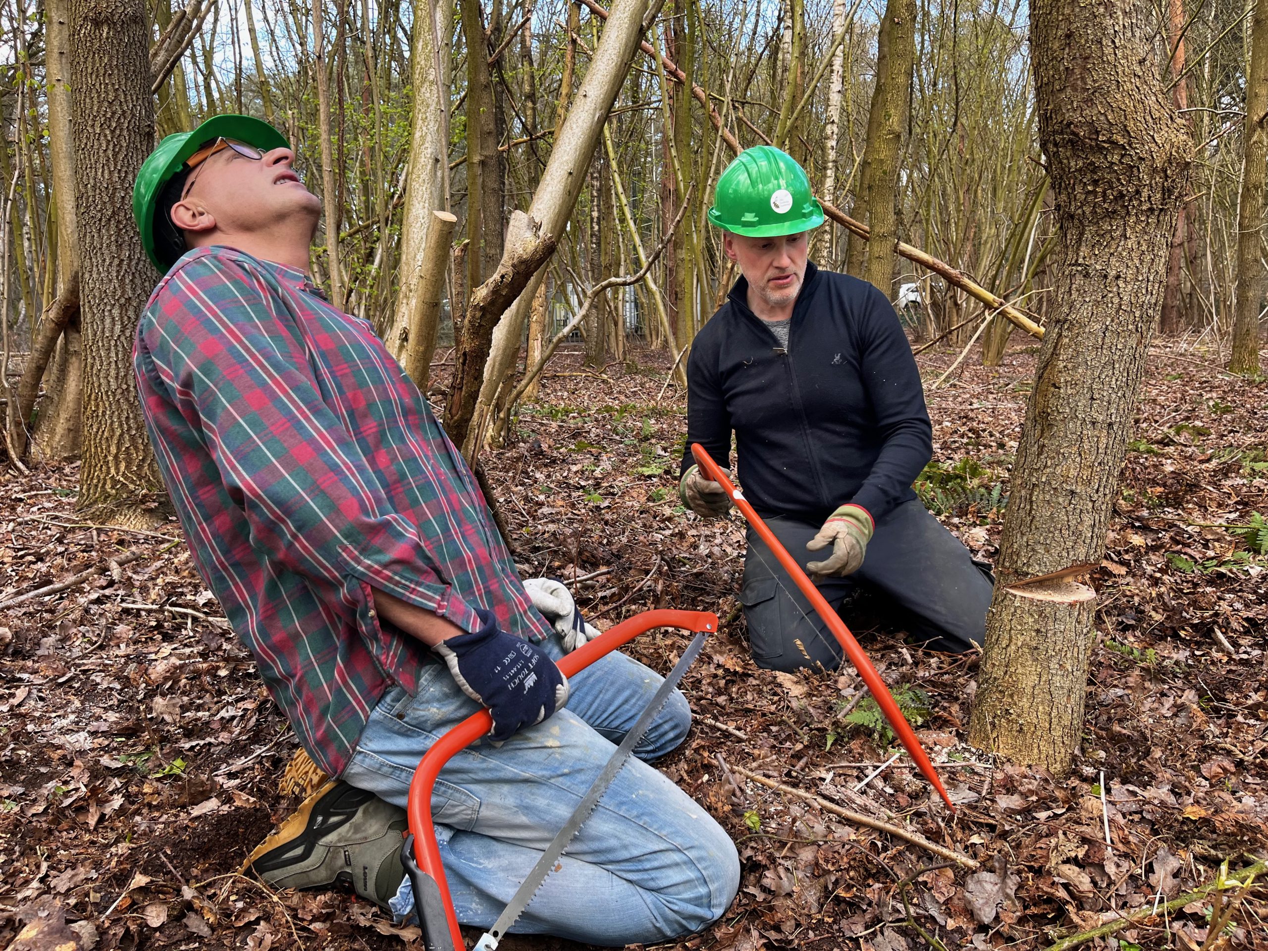 Praktijkcursus landschapsbeheer 2025