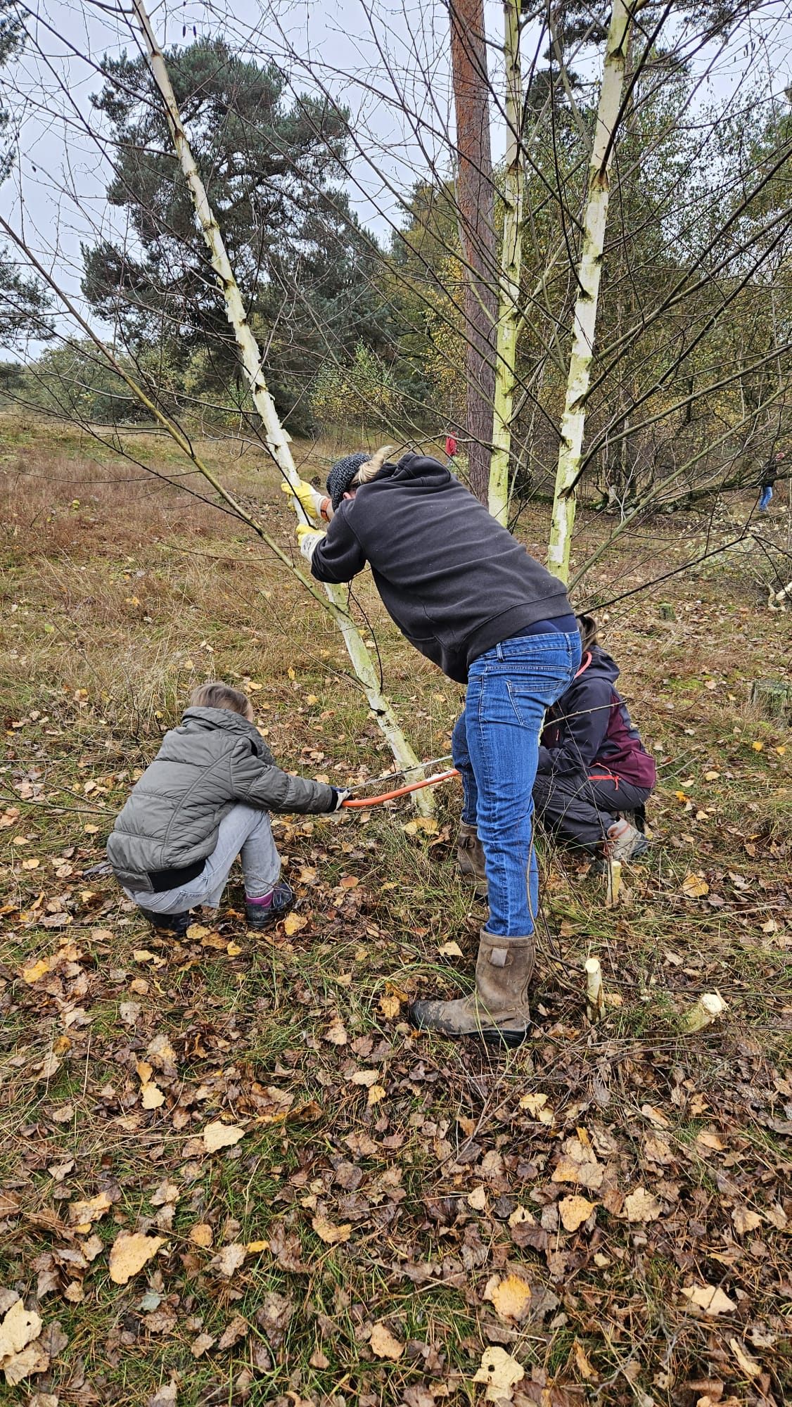 Terugblik Limburgse Natuurwerkdag