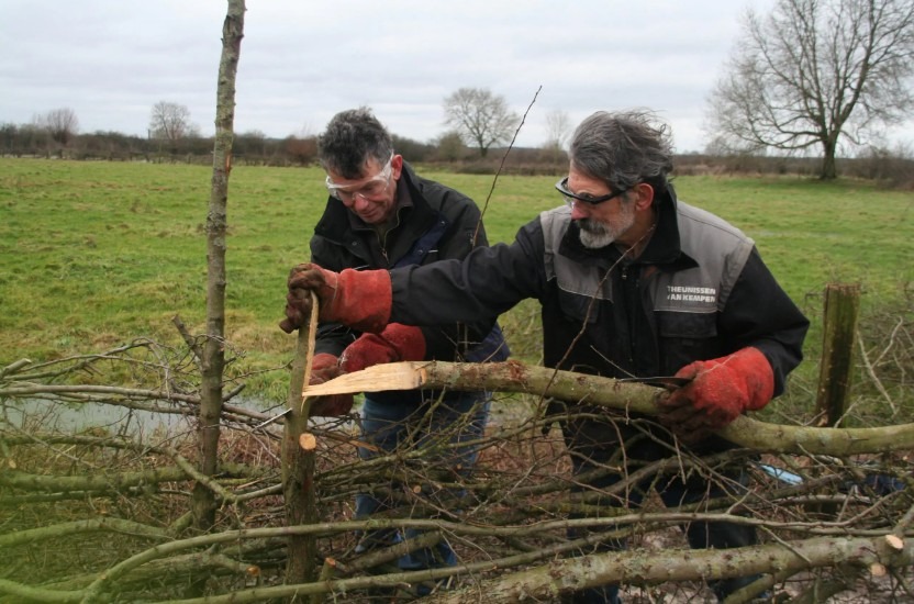 Lezing & workshop Maasheggen vlechten