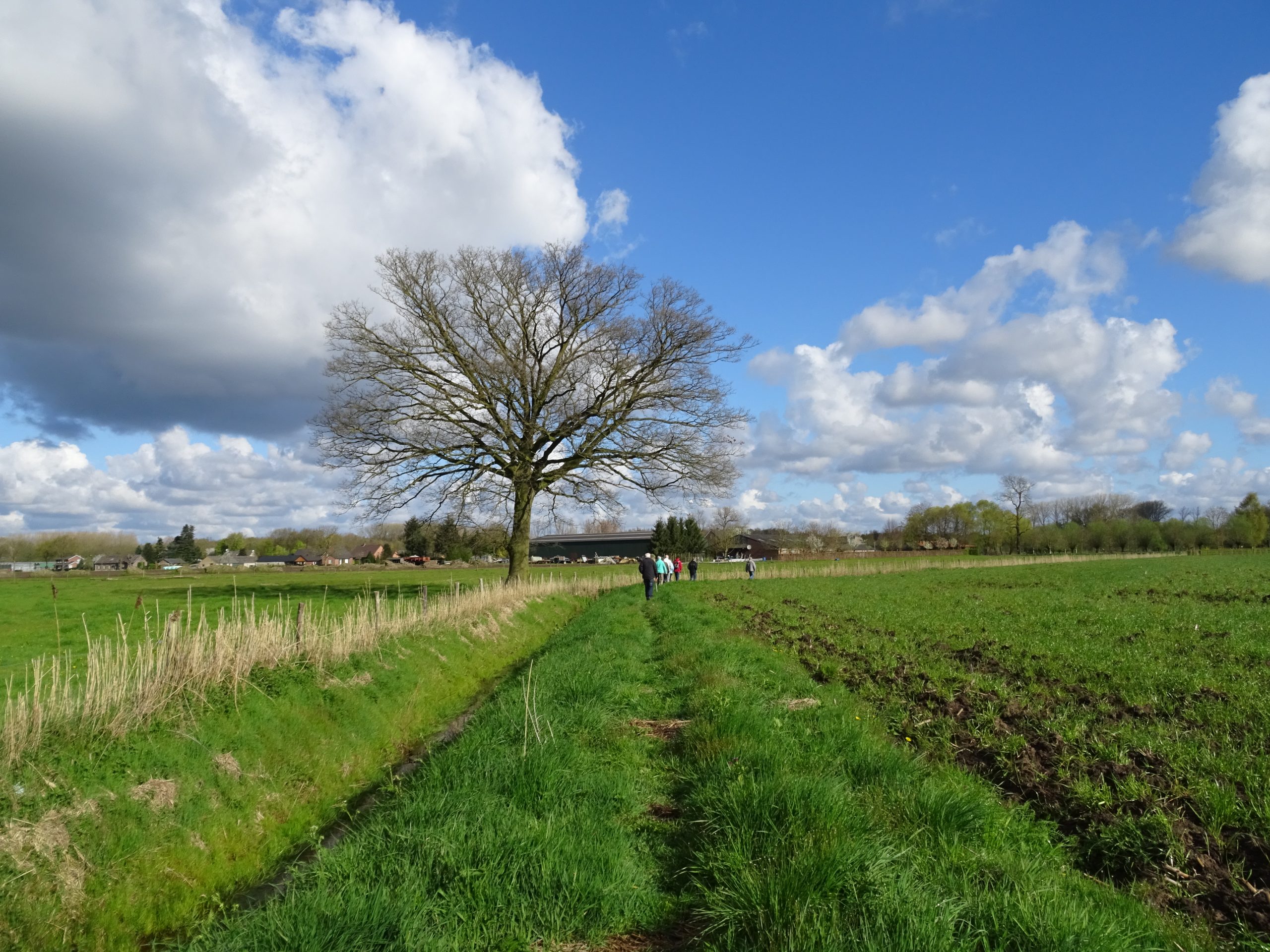 Ontdek het Aschbroek en Winkel
