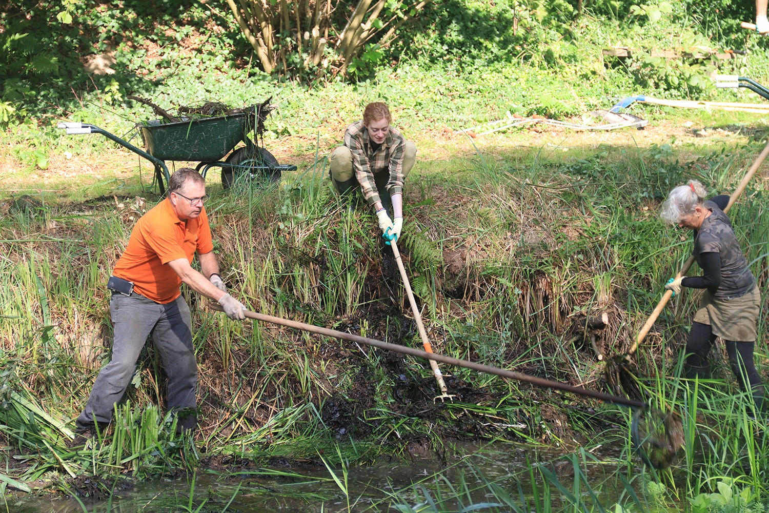 Het Limburgs Landschap zoekt een Medewerker Steunpunt Landschapsbeheer (32 uur)