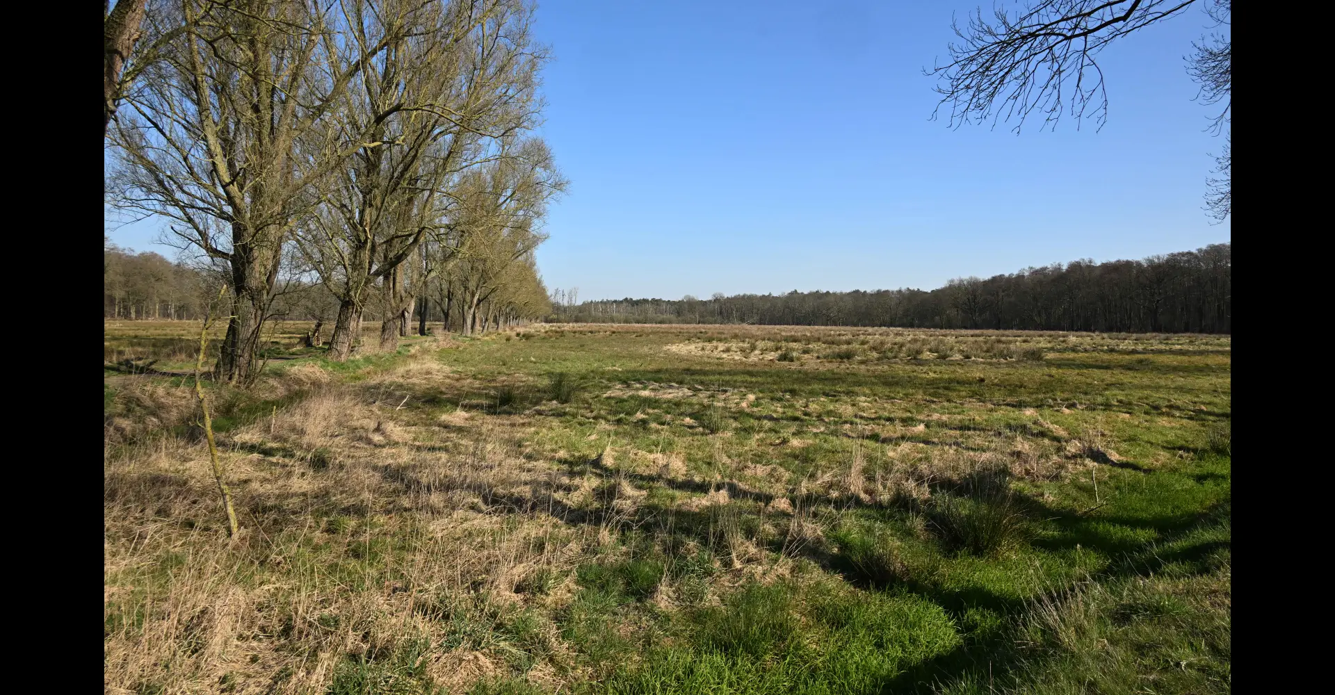 Natuurherstel Lommerbroek – Project-excursie