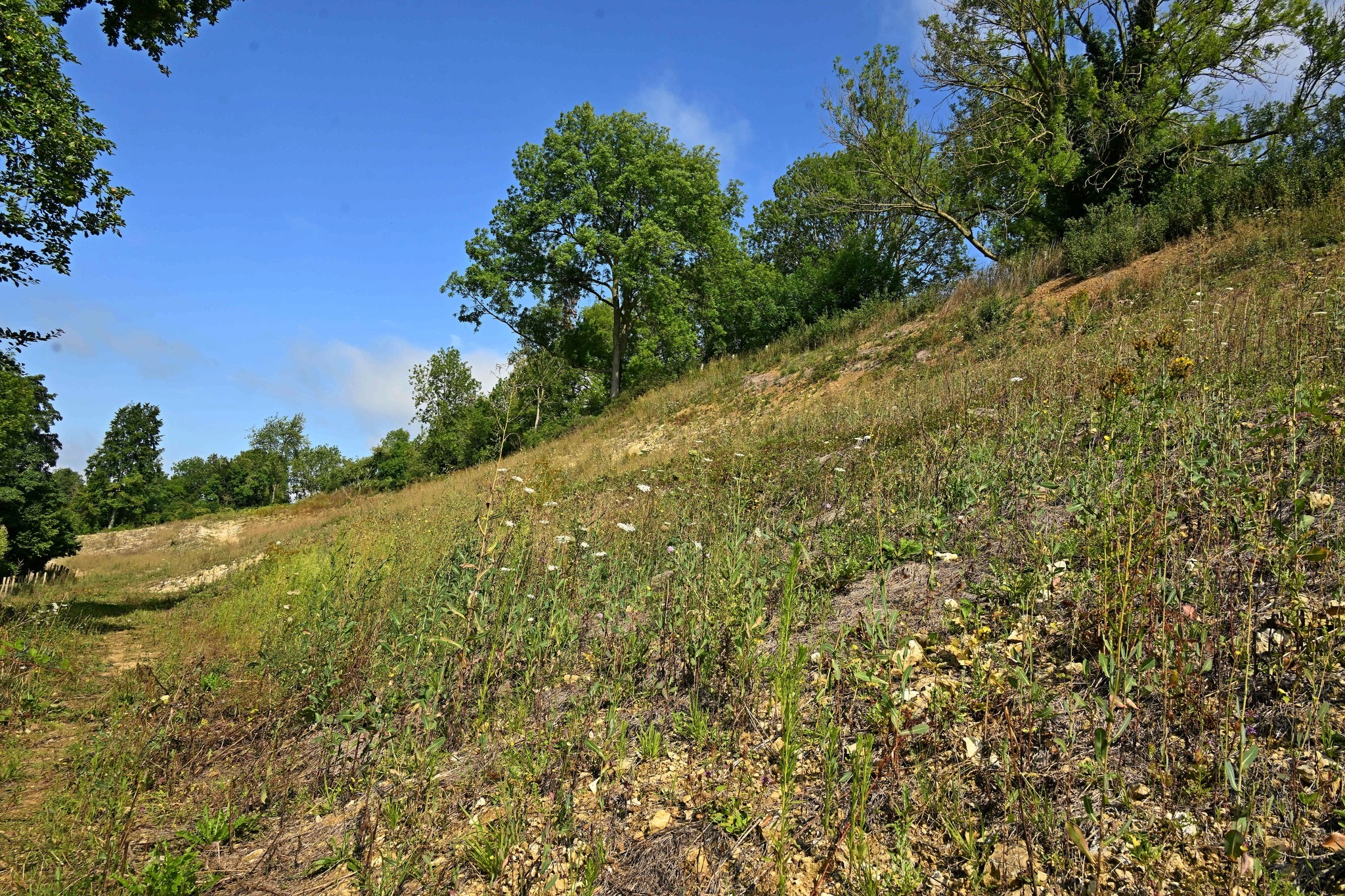 Opening Landschapsbeheerseizoen 2026-2027 (Wijlre)