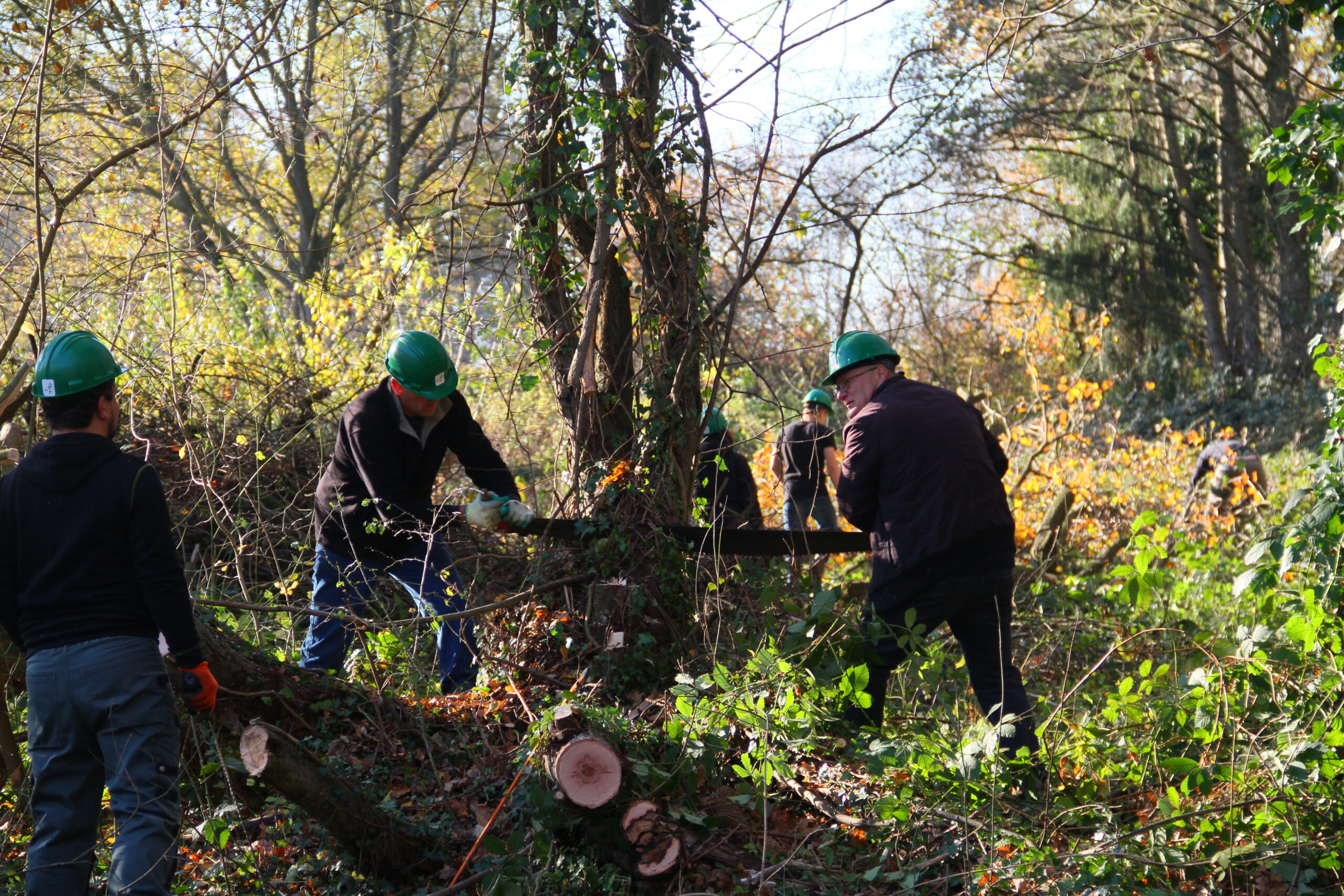 Oprichting hakhoutbrigade Heerlen