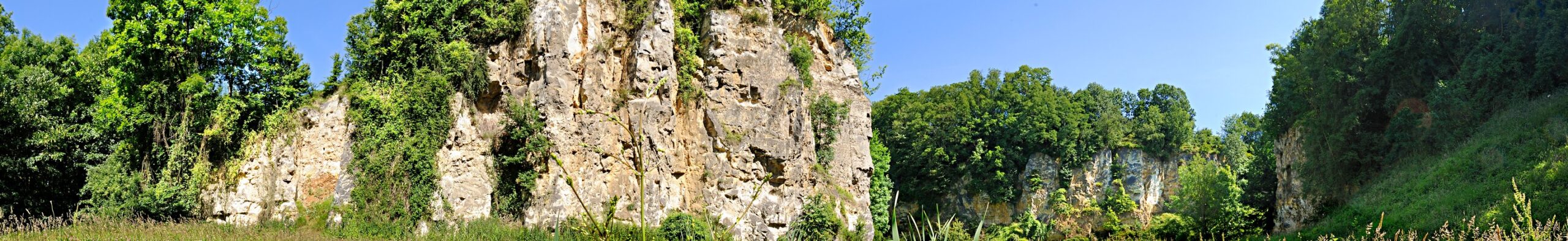 Het land van de korenwolf