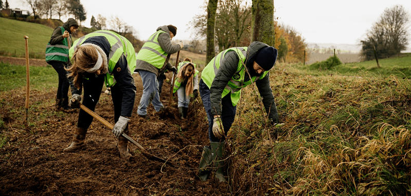 Maasheggen plantdag Kasteel Heijen