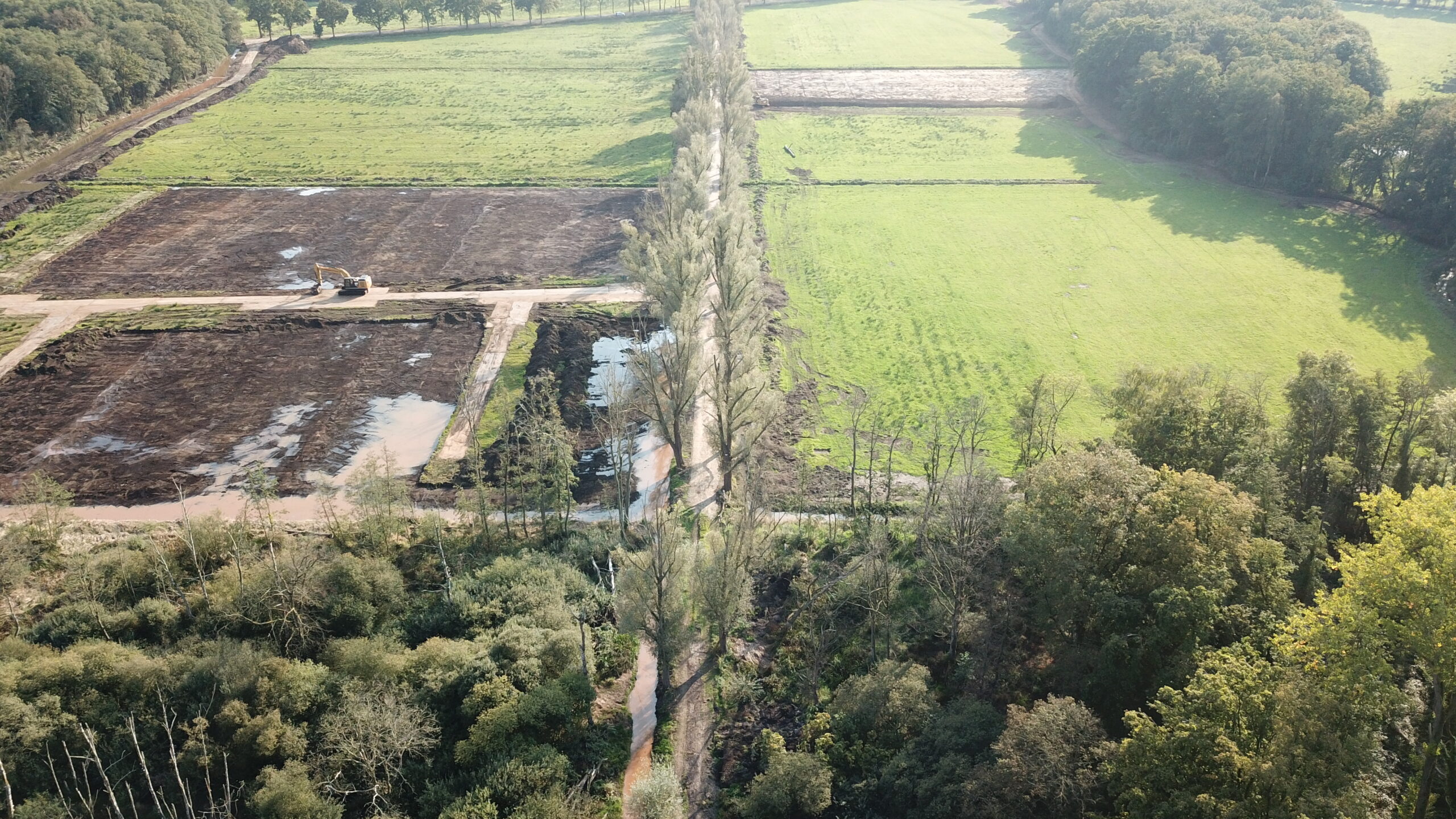 Natuurontwikkeling Lommerbroek en Vreewater