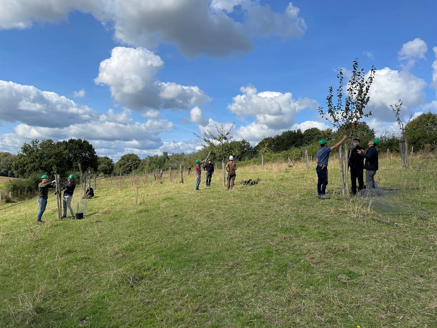 Beginnerscursus verzorging hoogstamfruitbomen Vaals