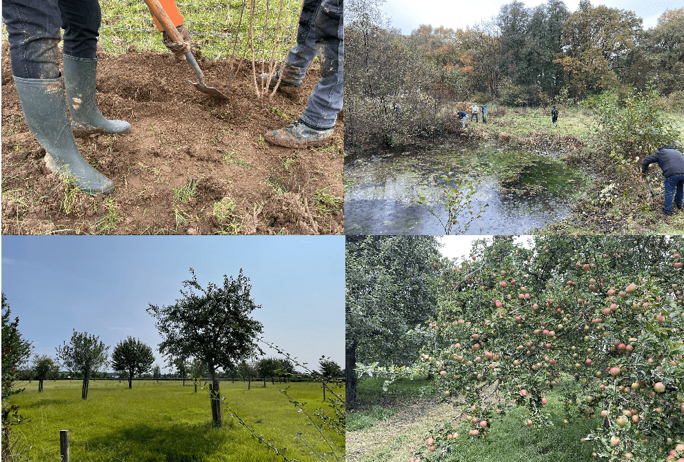 Subsidieregeling Landschapselementen 2025 verlengd